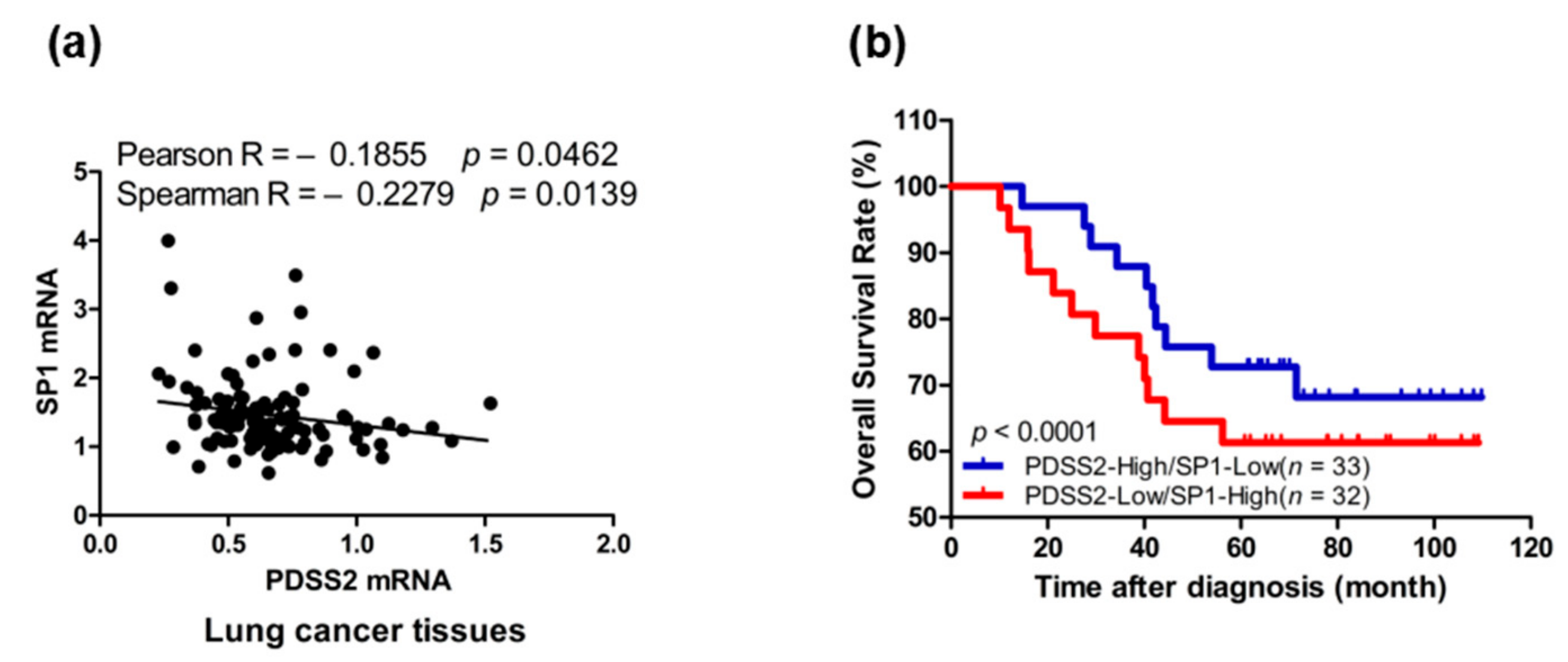 Genes 10 00977 g007 Genes 10 00977 g007