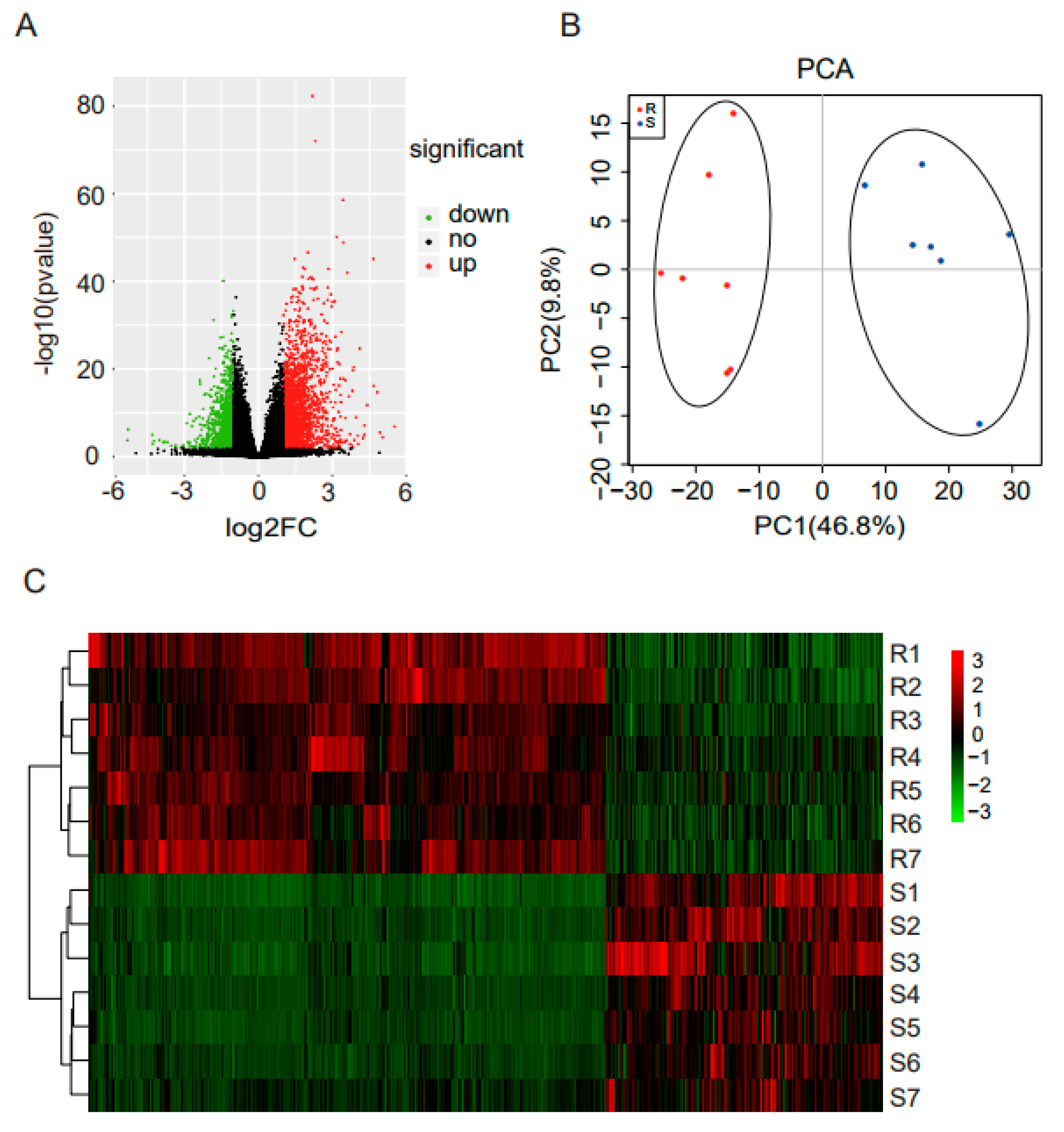 Genes 10 00979 g002