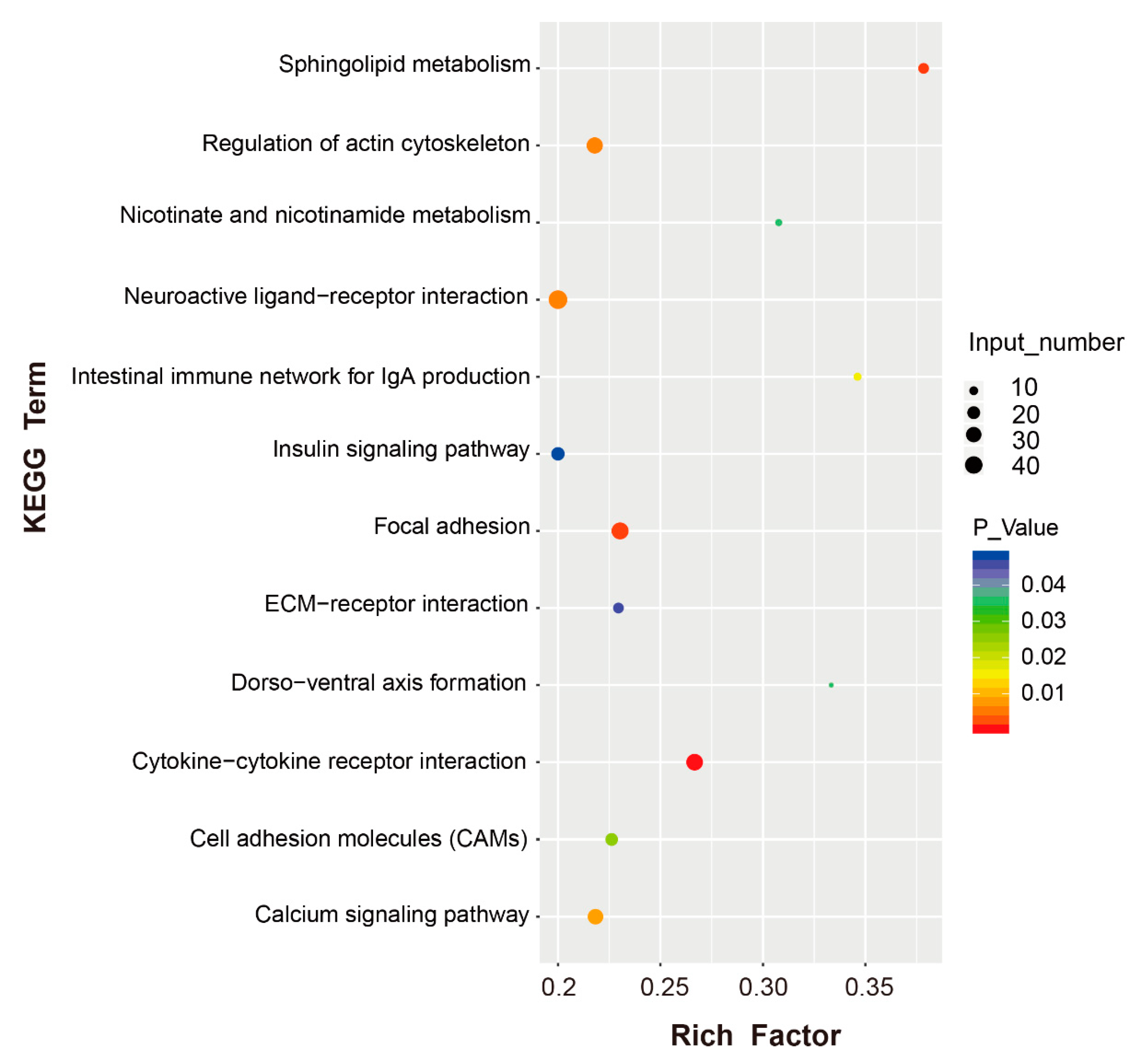 Genes 10 00979 g004