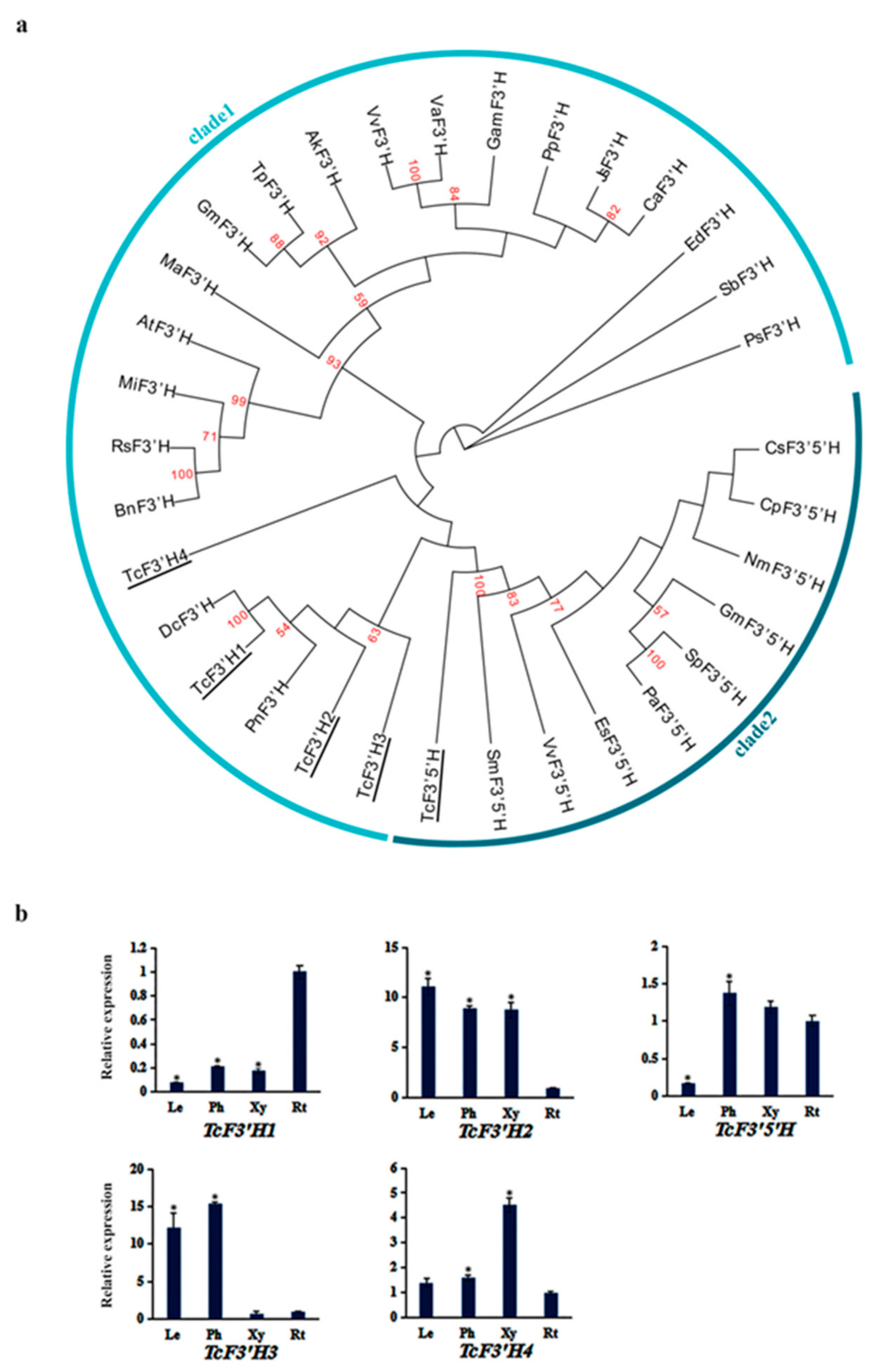 Genes 10 00982 g005 Genes 10 00982 g005
