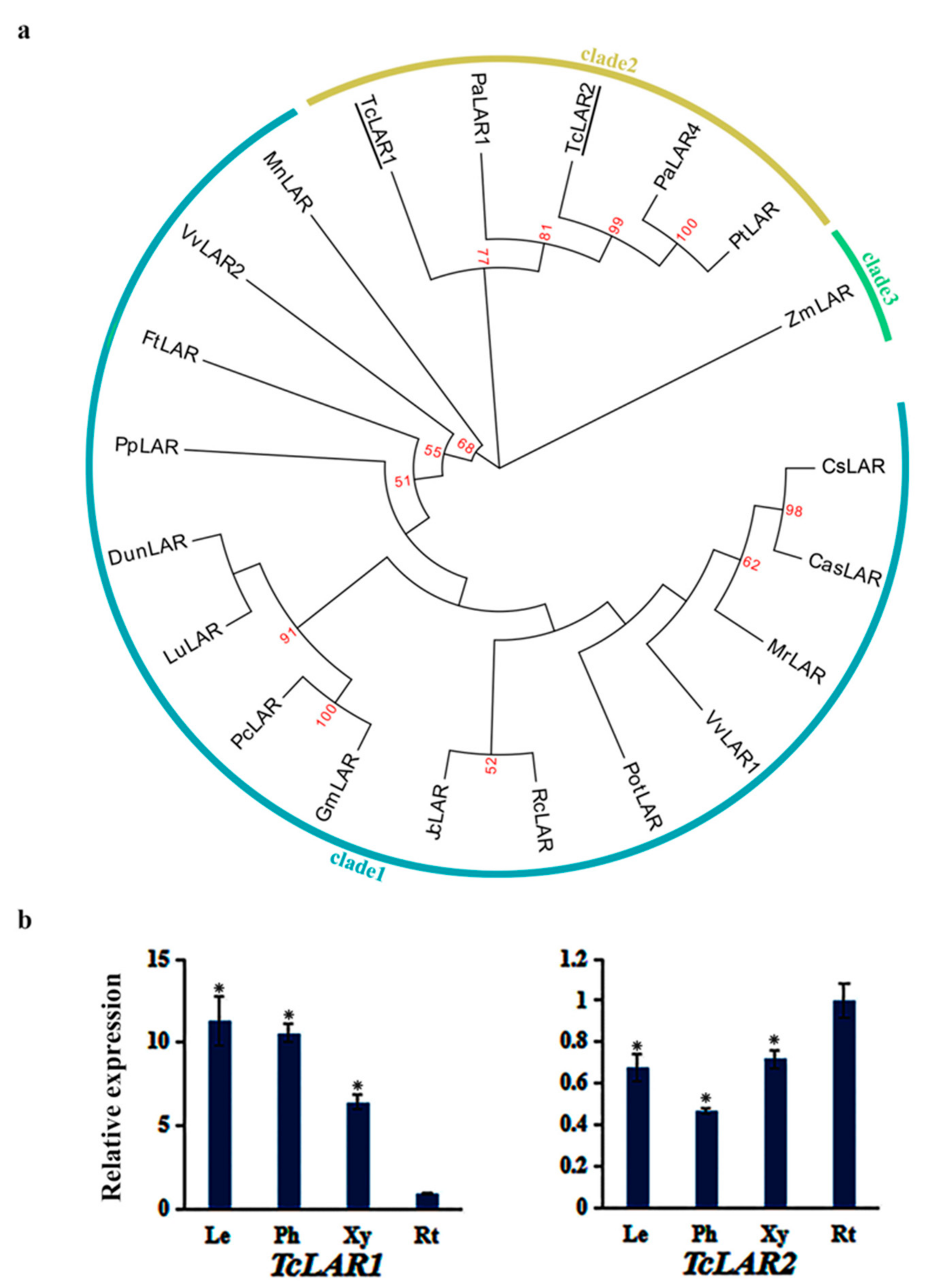 Genes 10 00982 g007 Genes 10 00982 g007