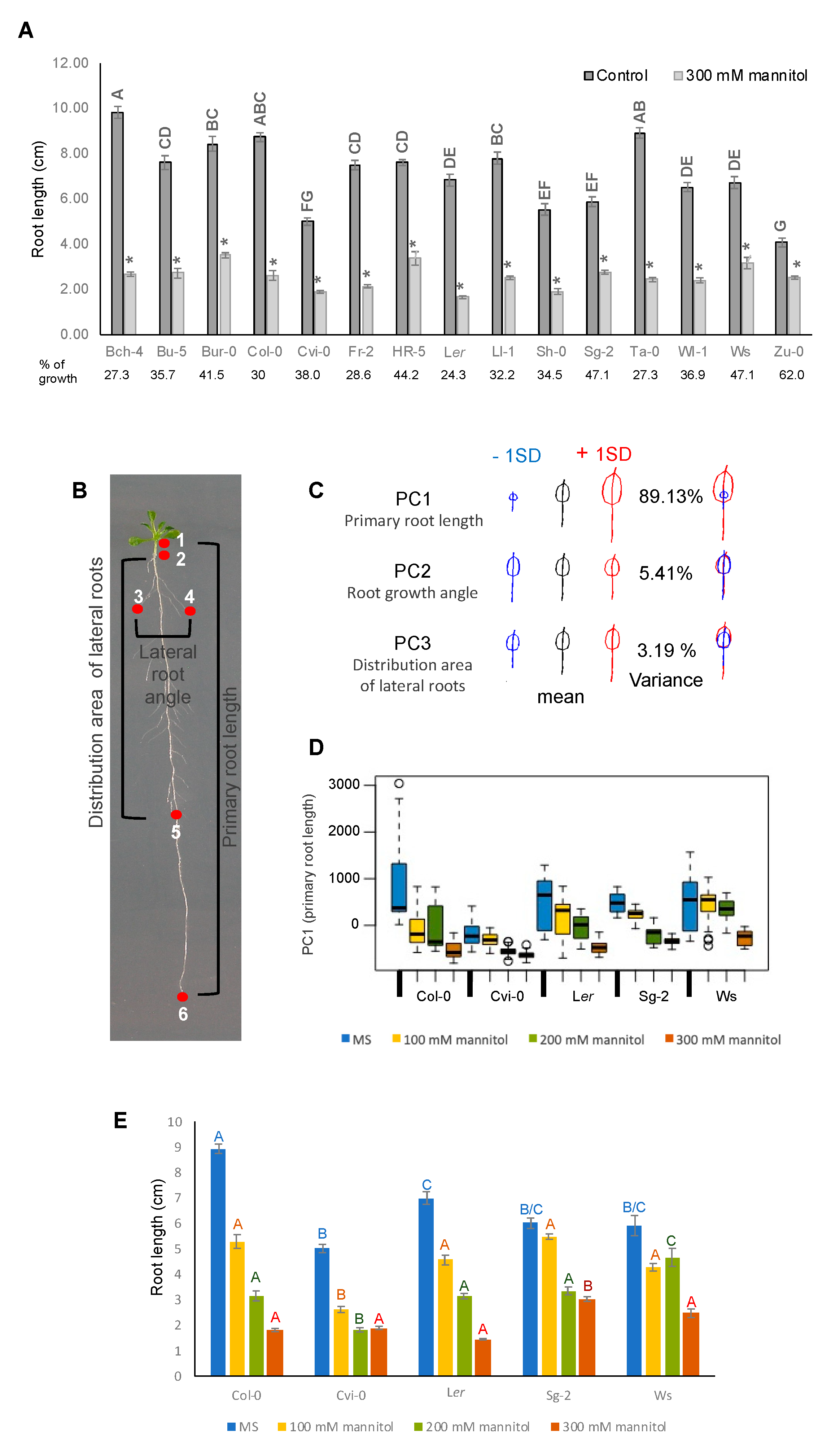 Genes 10 00983 g003 Genes 10 00983 g003
