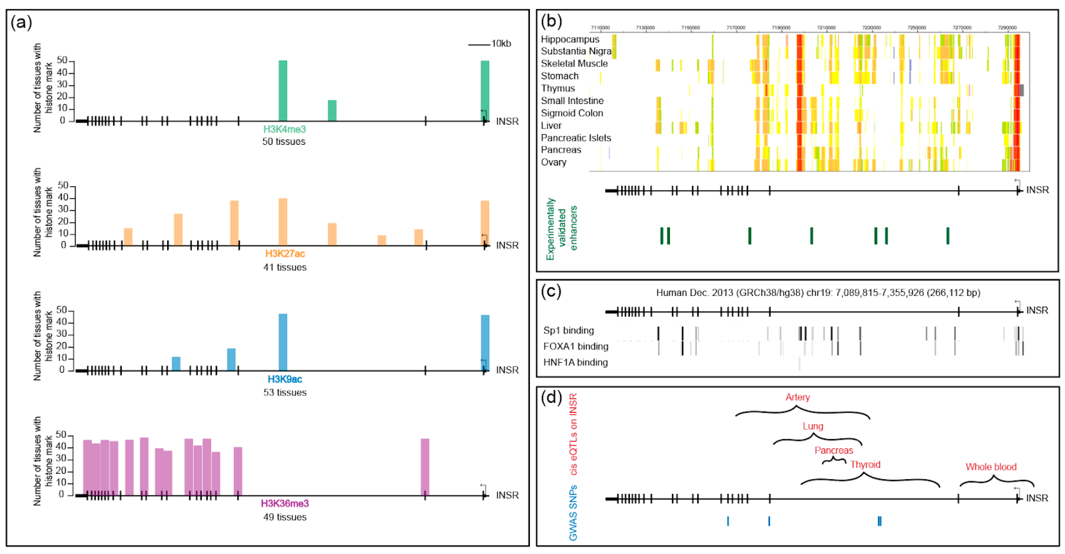 Genes 10 00984 g005 Genes 10 00984 g005