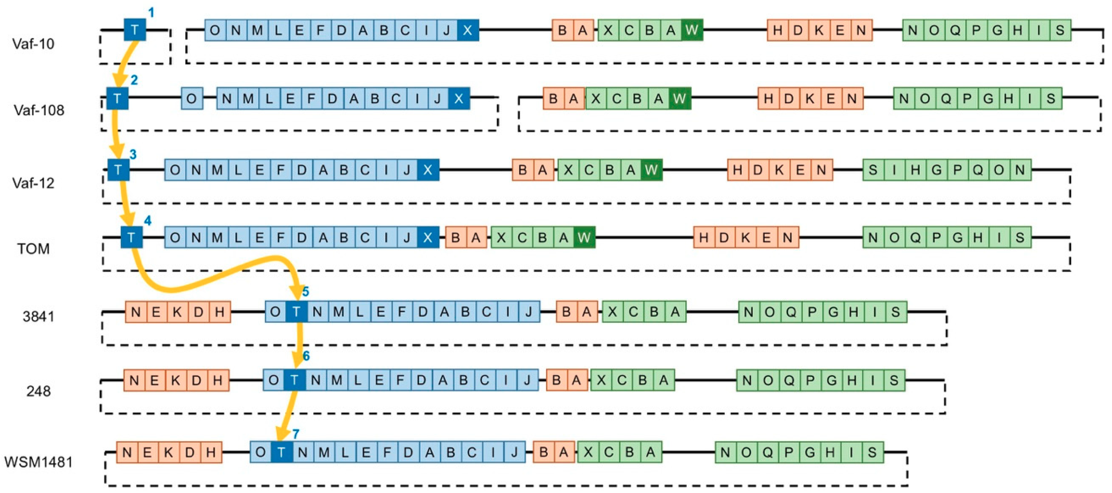 Genes 10 00990 g002 Genes 10 00990 g002