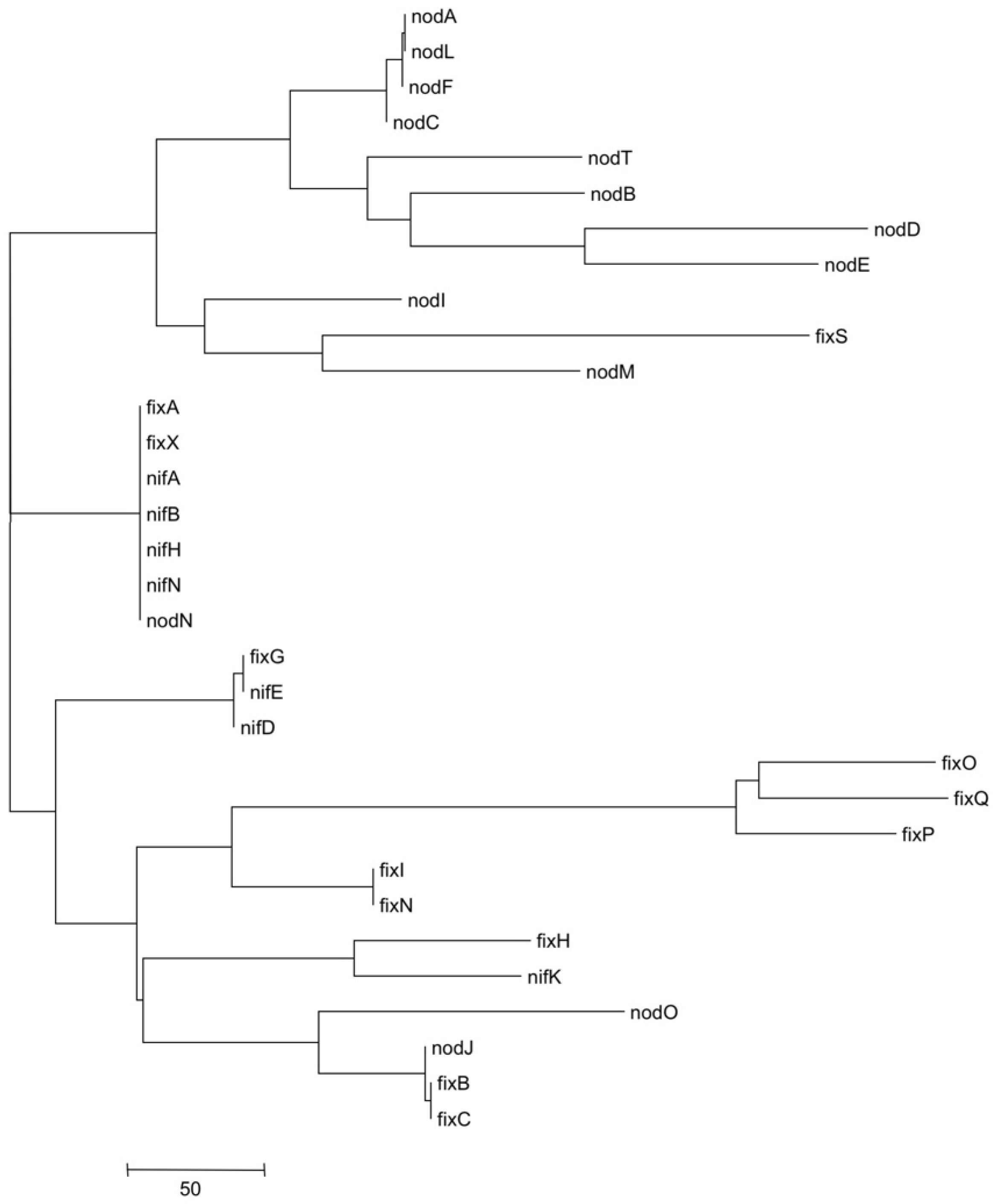 Genes 10 00990 g006 Genes 10 00990 g006