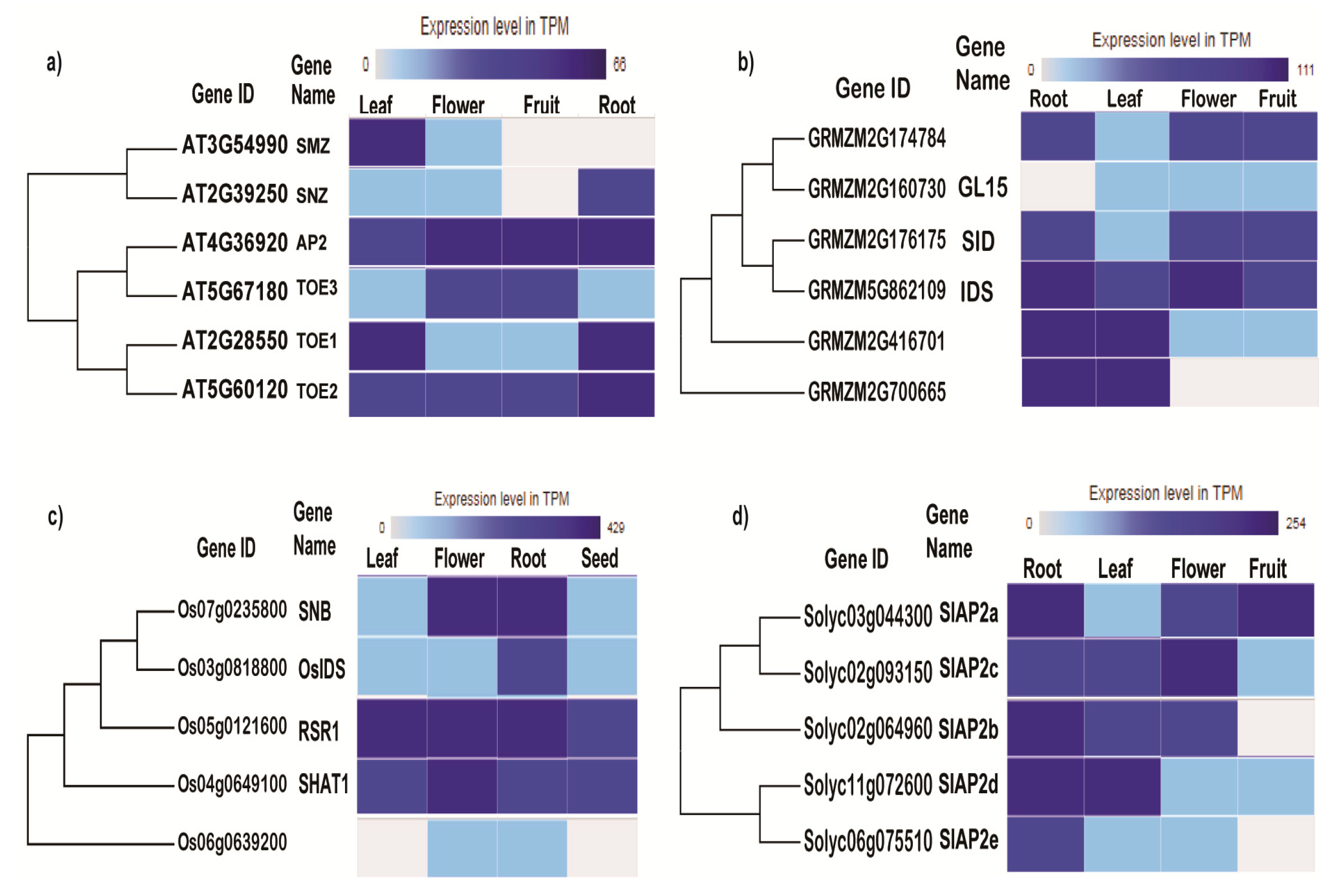 Genes 10 00994 g002 Genes 10 00994 g002