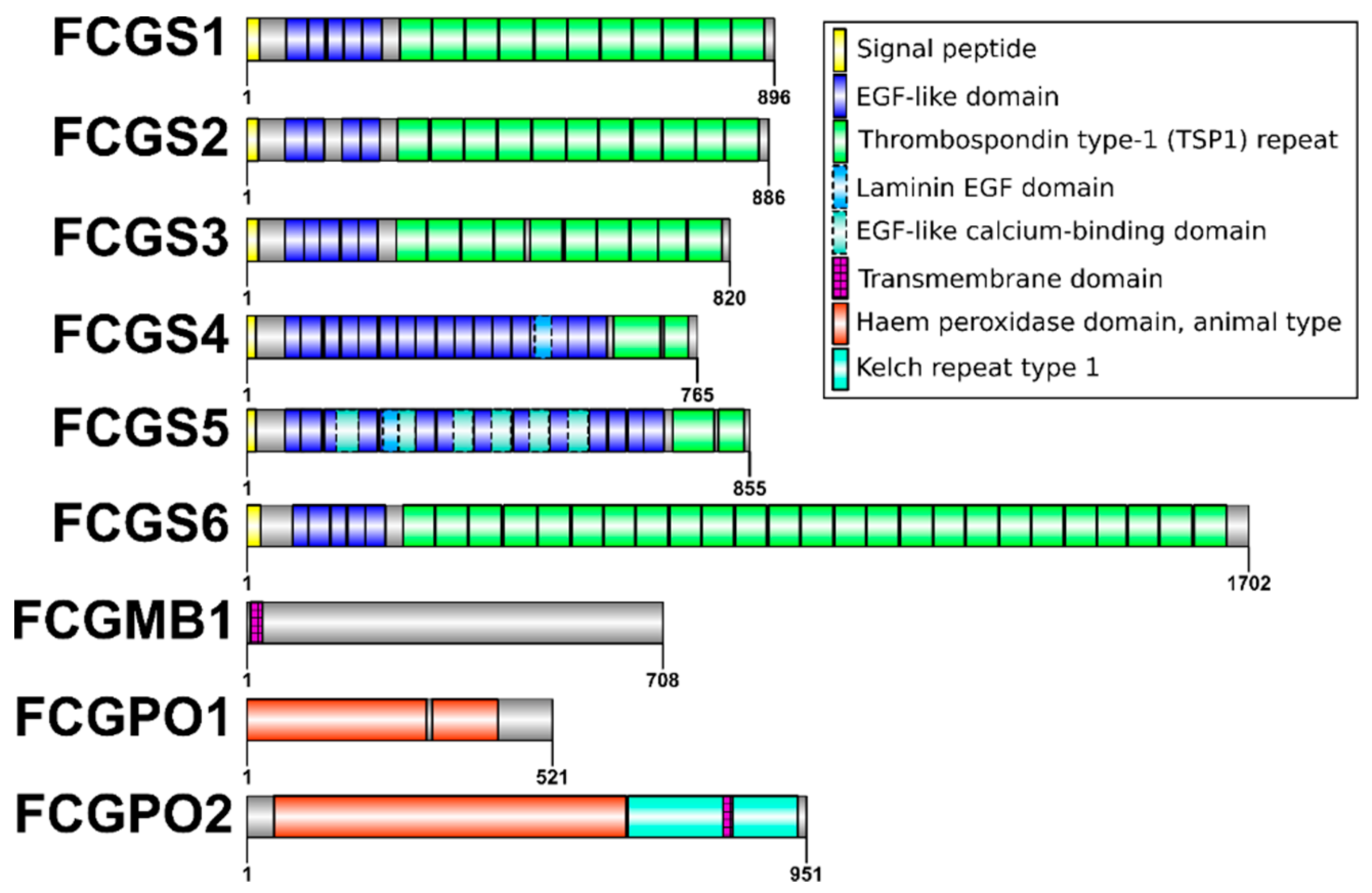 Genes 10 01004 g002
