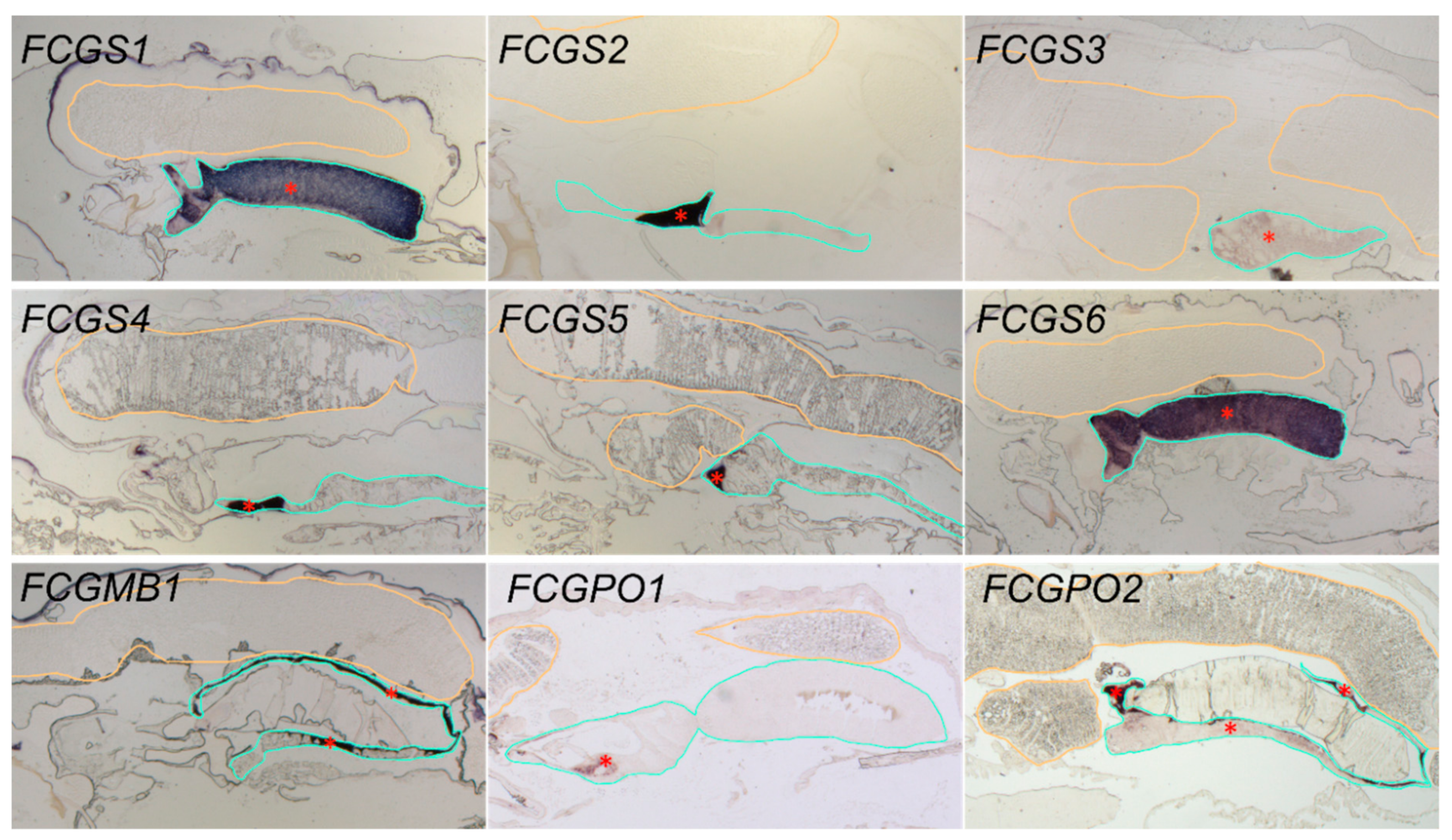 Genes 10 01004 g003