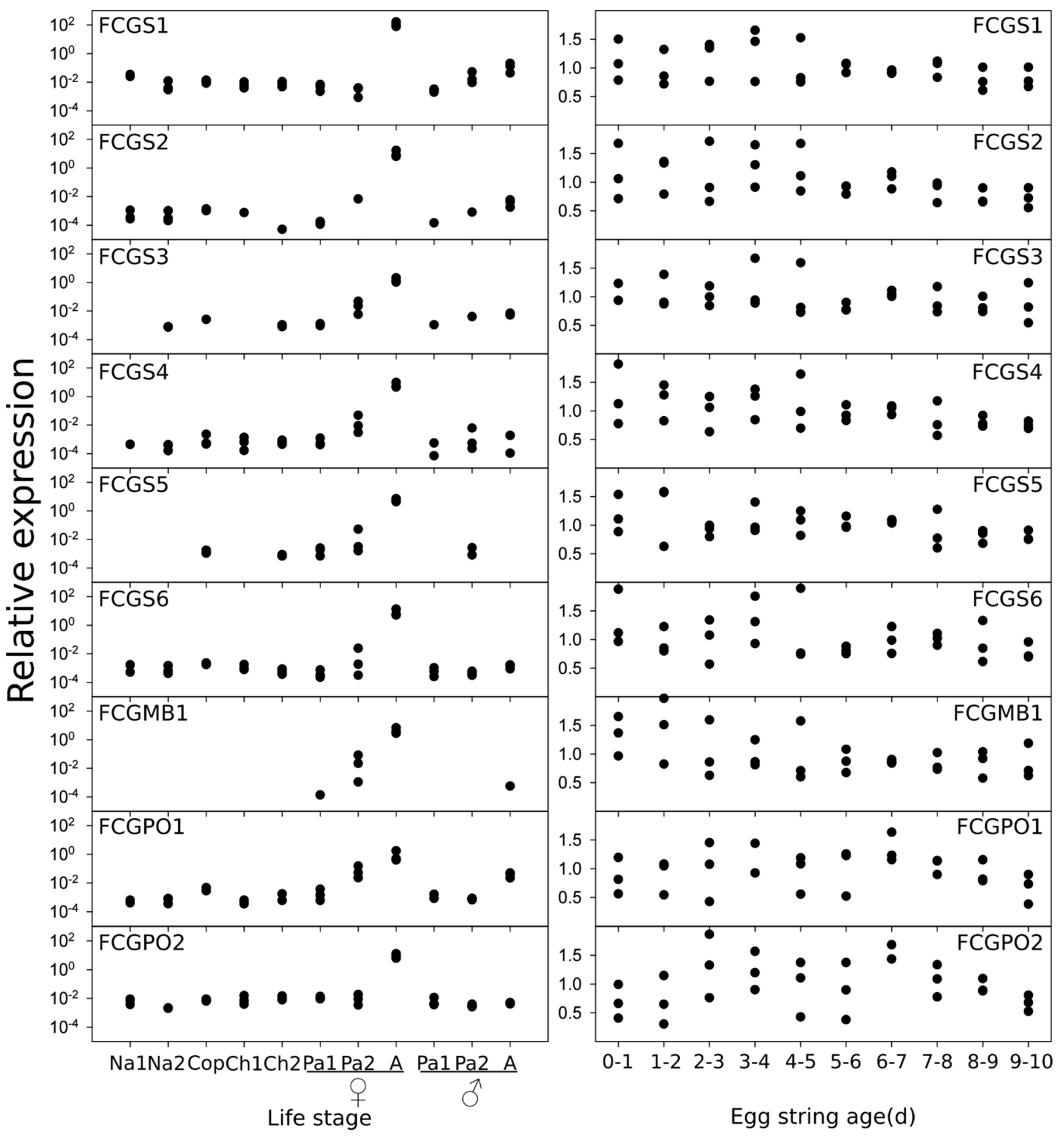 Genes 10 01004 g004
