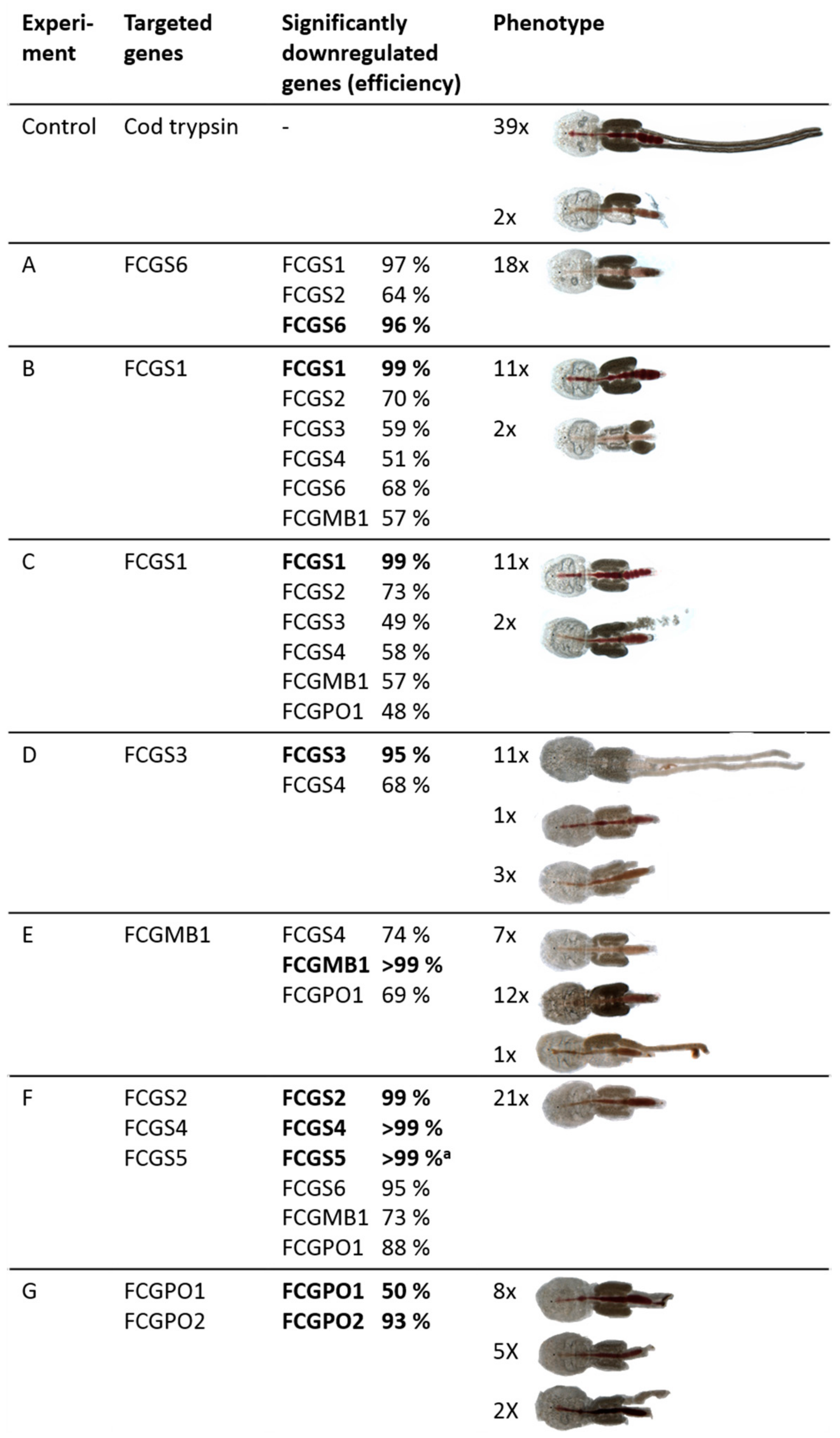 Genes 10 01004 g005