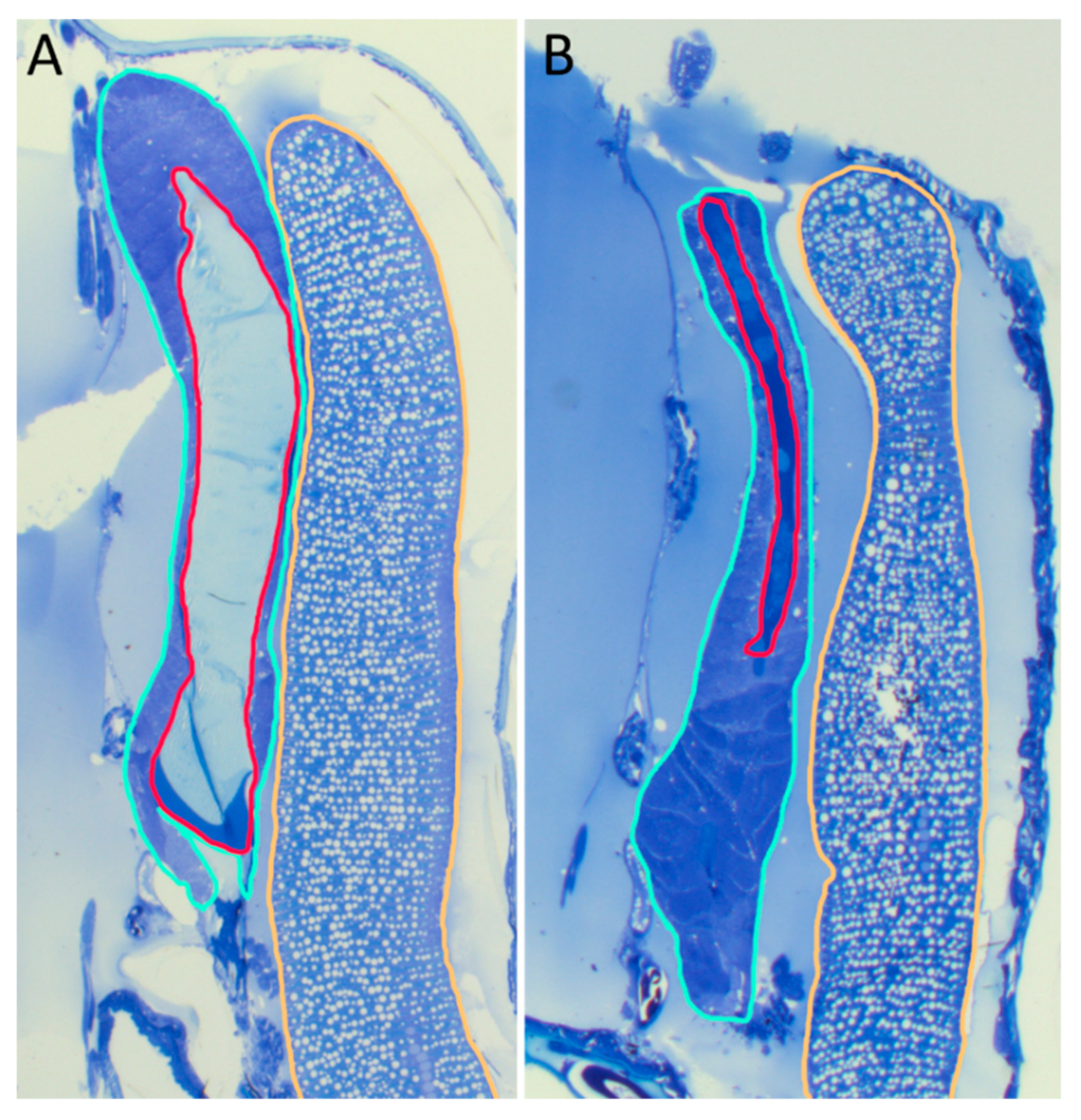 Genes 10 01004 g006