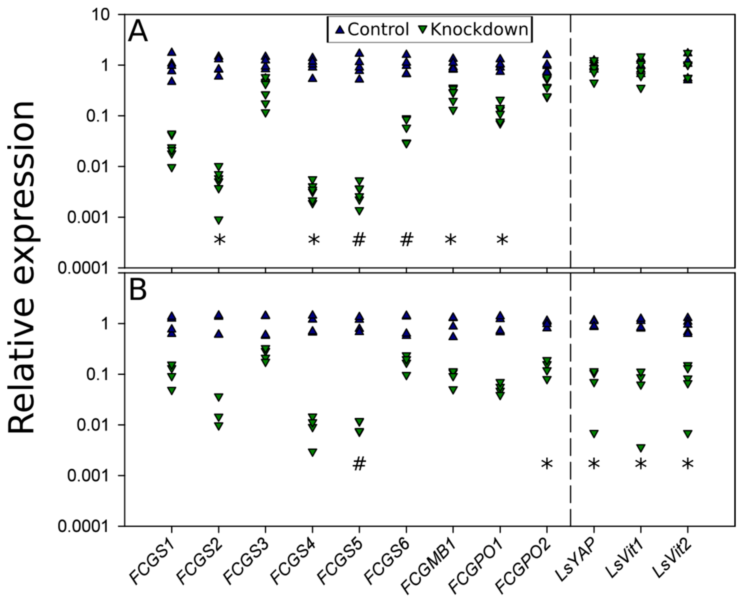 Genes 10 01004 g007