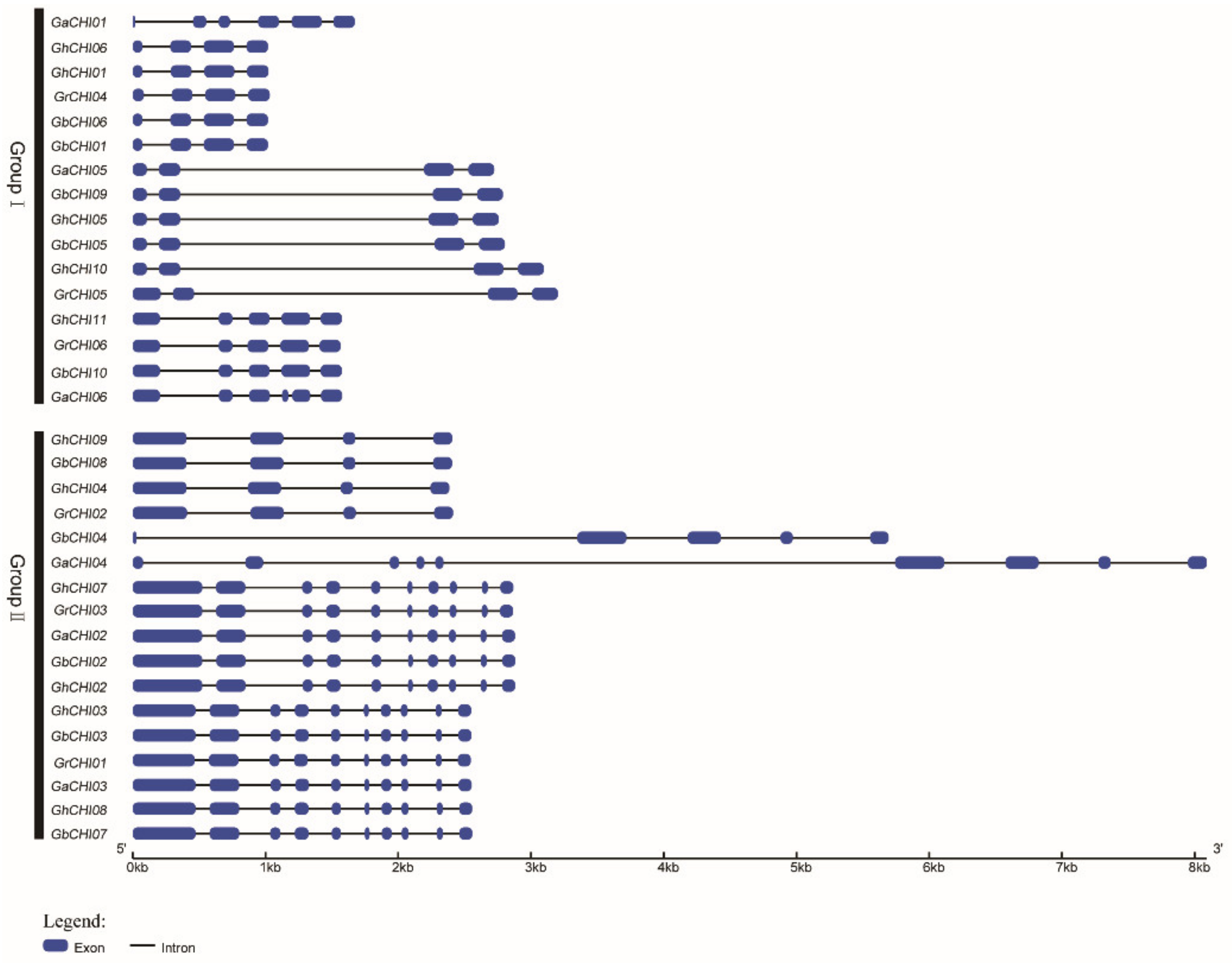 Genes 10 01006 g003 Genes 10 01006 g003