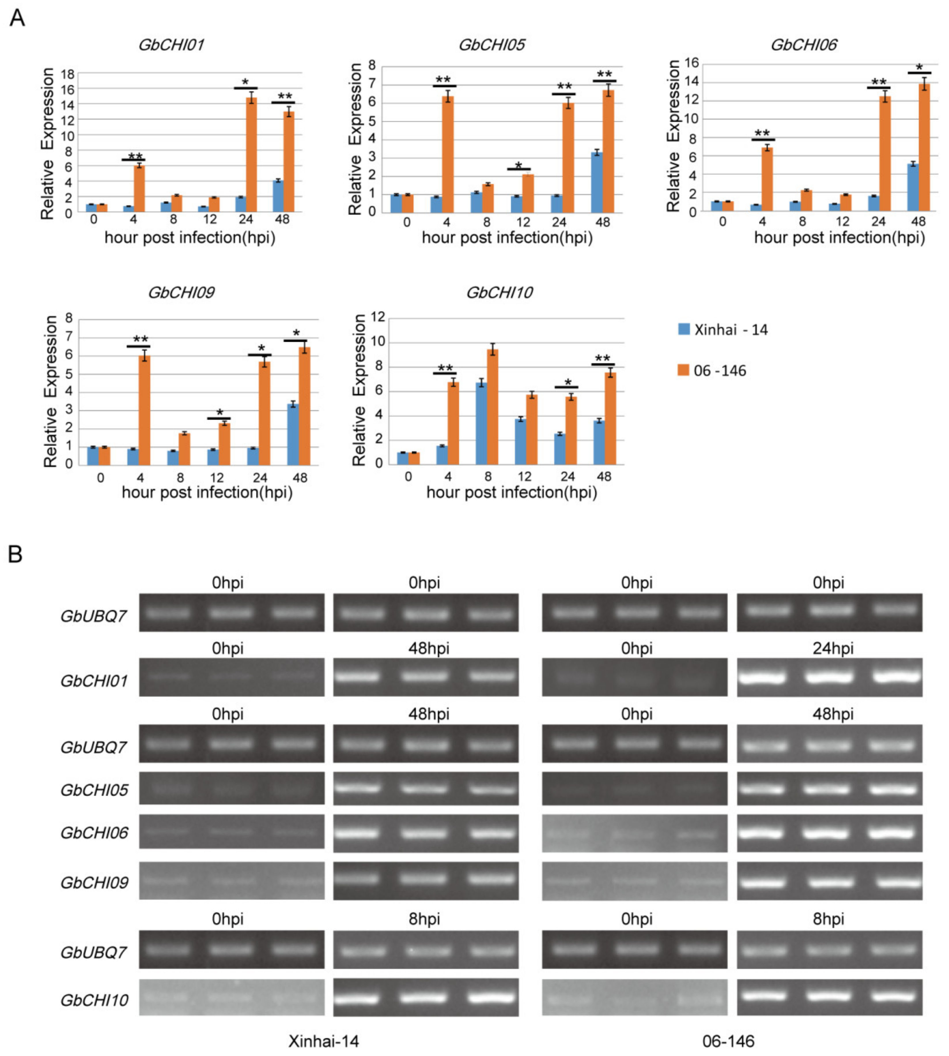 Genes 10 01006 g007 Genes 10 01006 g007