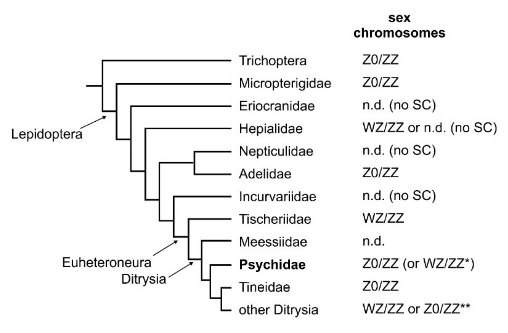 Genes 10 01016 g005 Genes 10 01016 g005