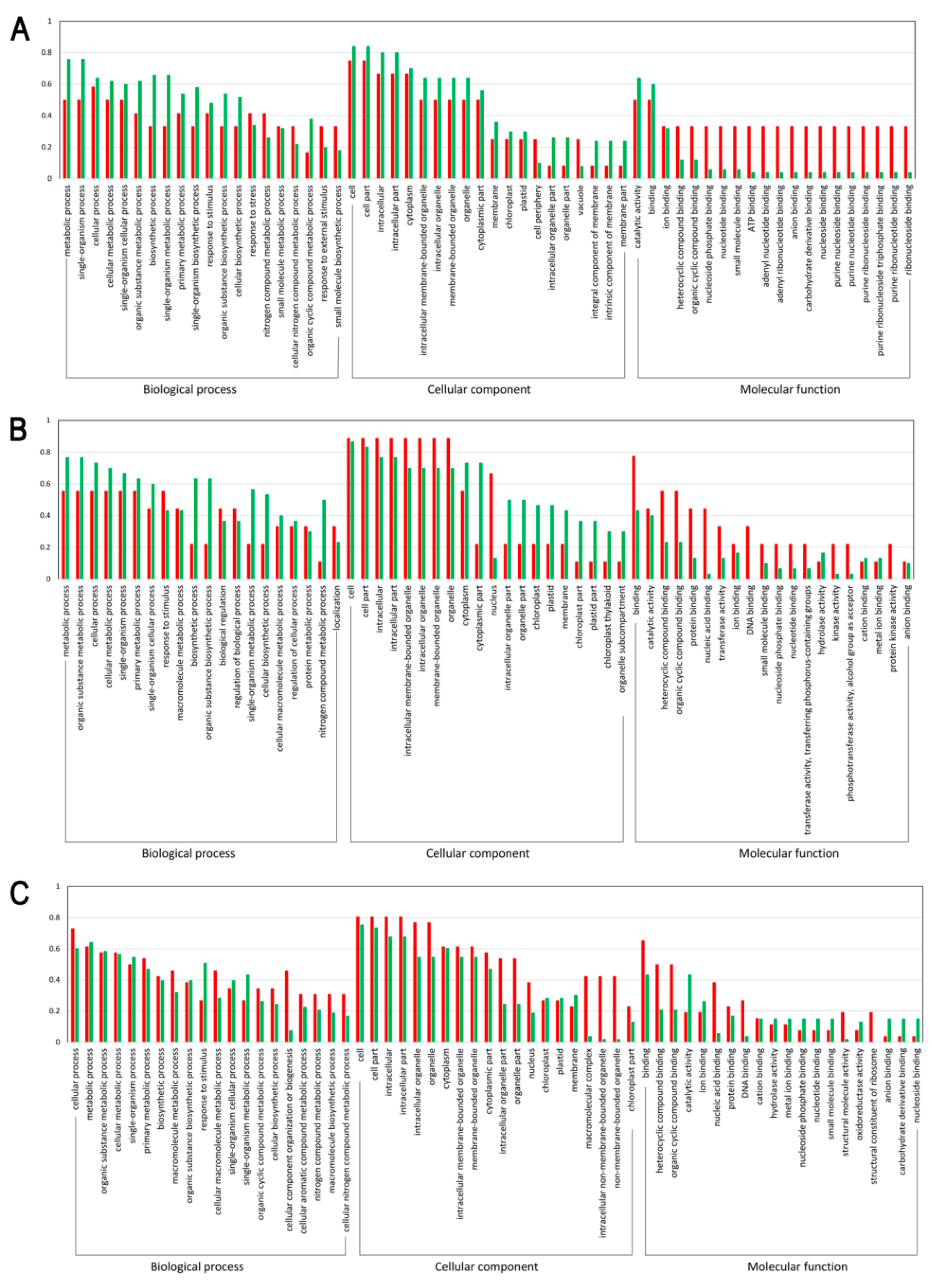 Genes 10 01024 g003
