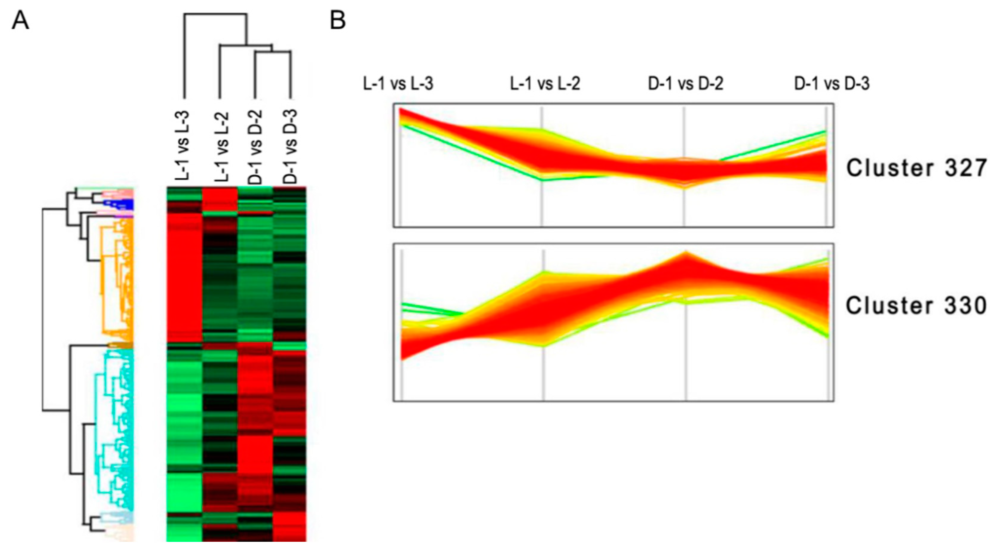 Genes 10 01024 g005