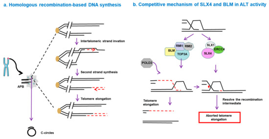 genes-10-01030-g001-550.jpg