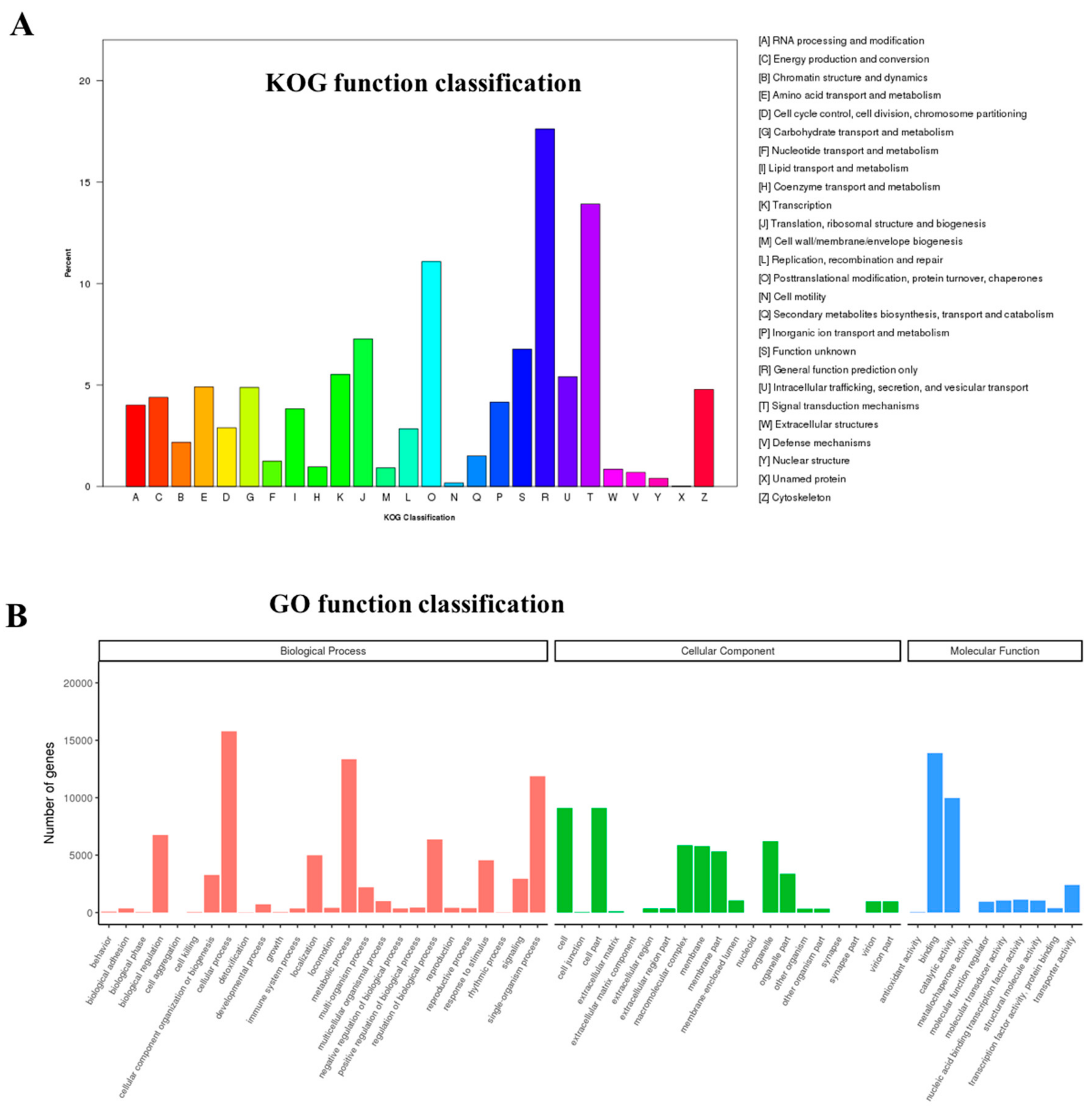 Genes 10 01035 g002 Genes 10 01035 g002