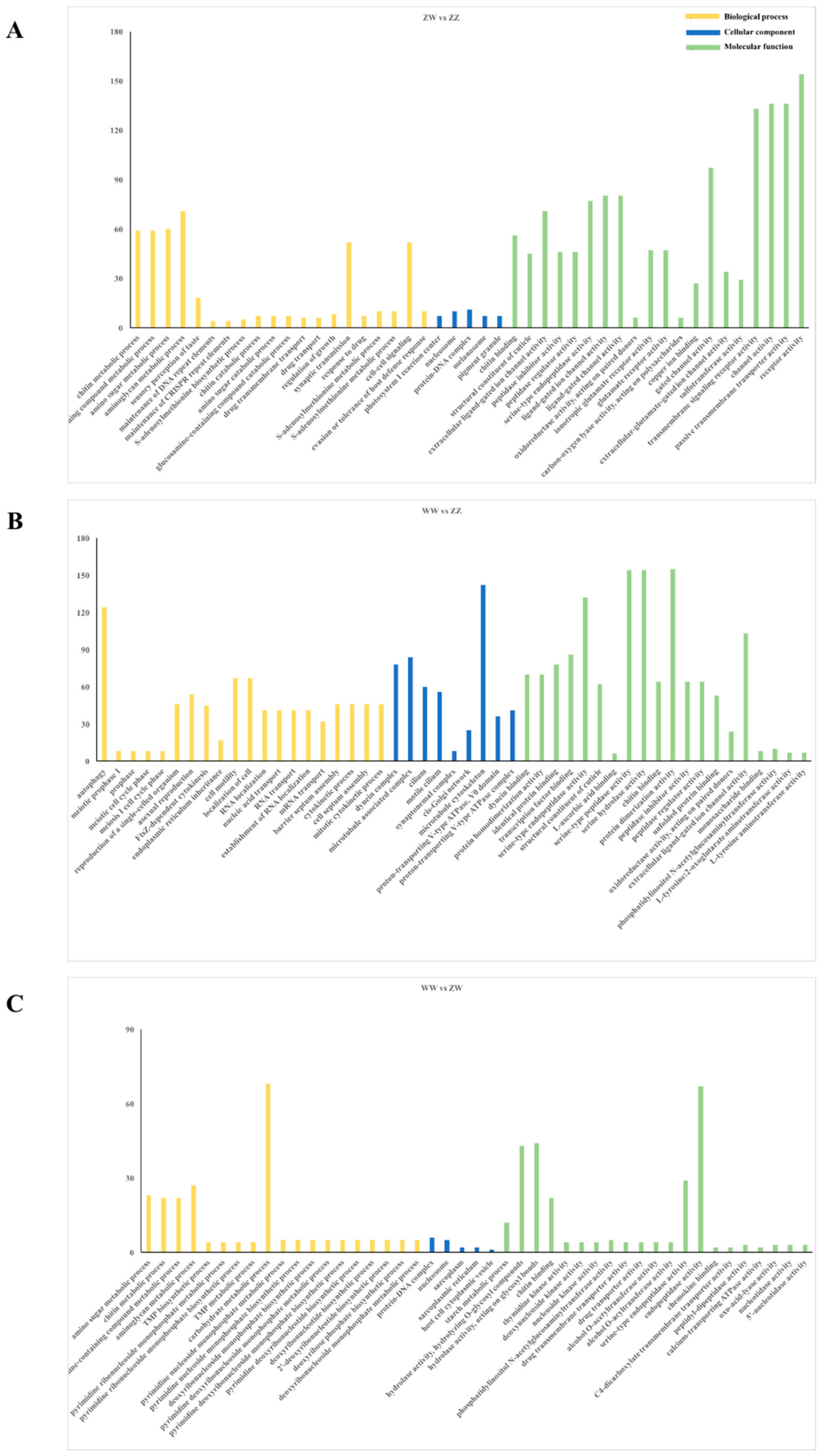 Genes 10 01035 g004 Genes 10 01035 g004