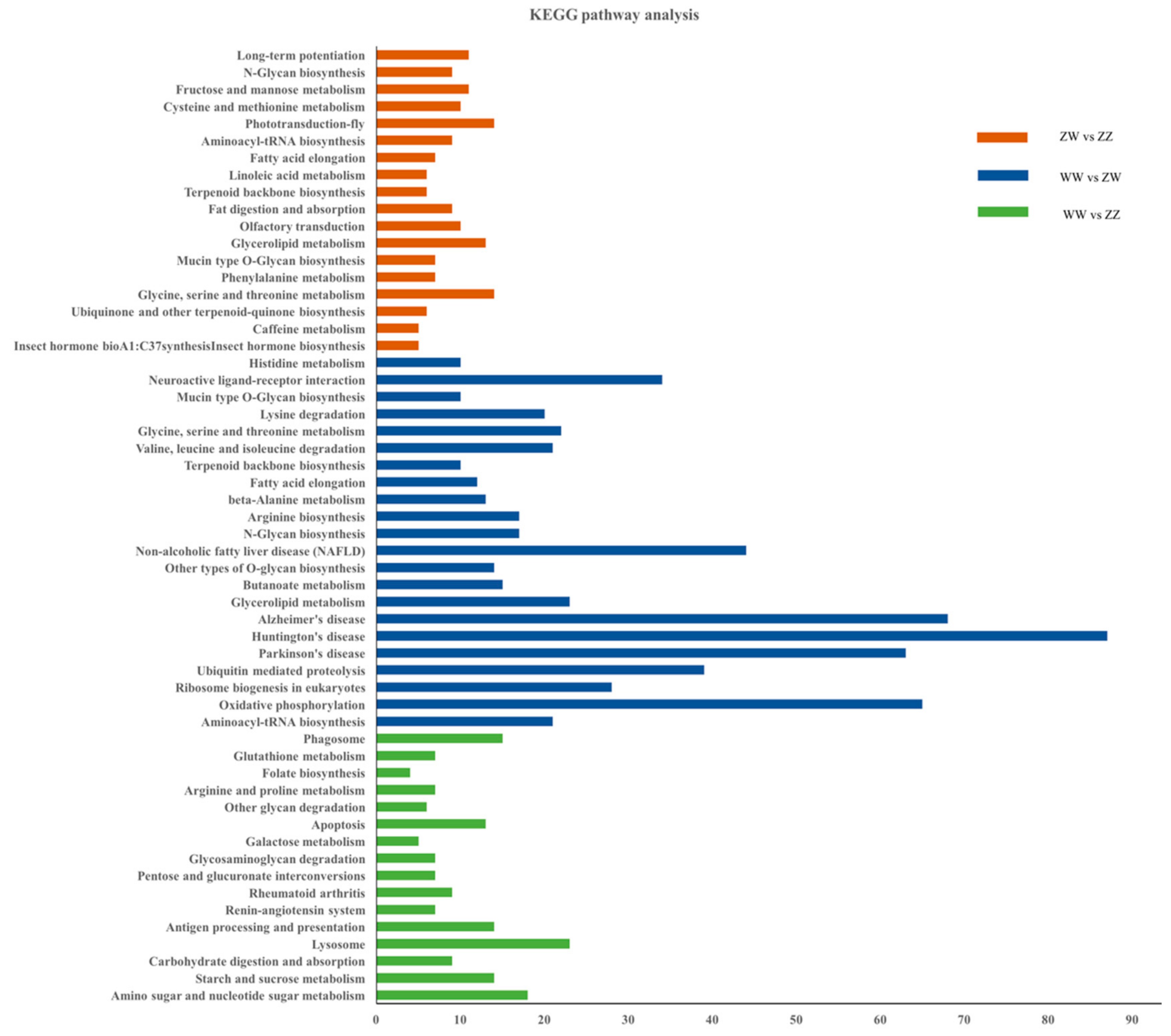 Genes 10 01035 g005 Genes 10 01035 g005