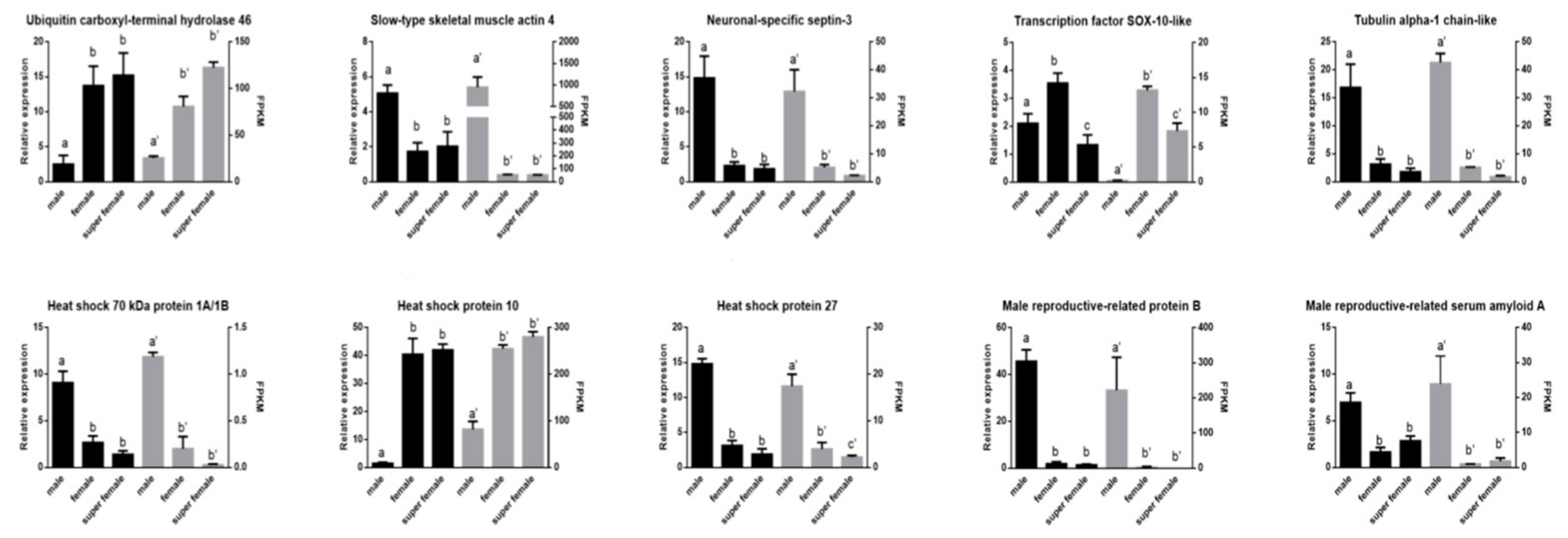 Genes 10 01035 g007 Genes 10 01035 g007
