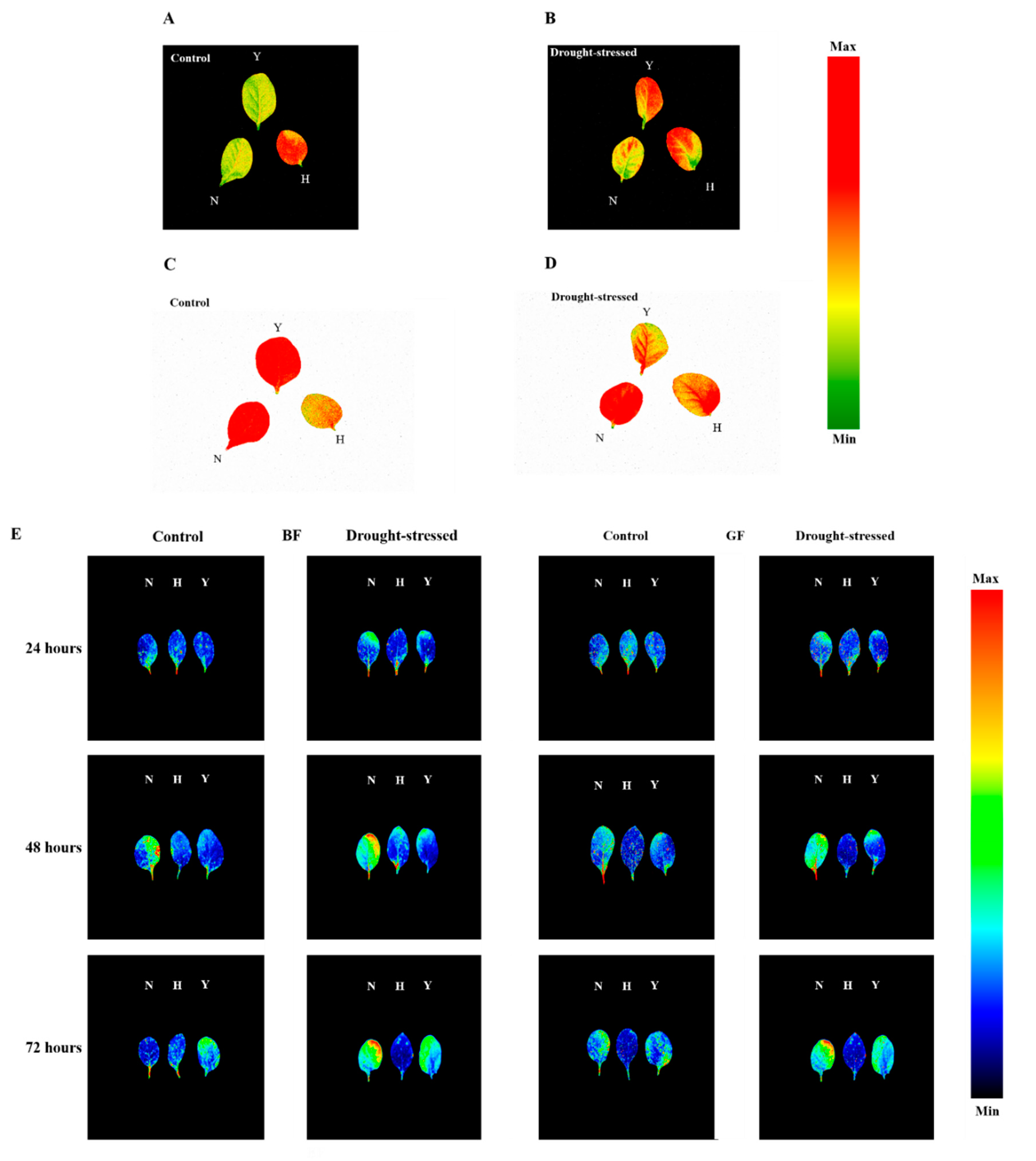 Genes 10 01041 g004 Genes 10 01041 g004