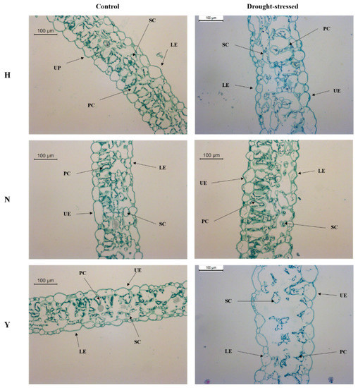 Genes December 2019 Browse Articles Images, Photos, Reviews