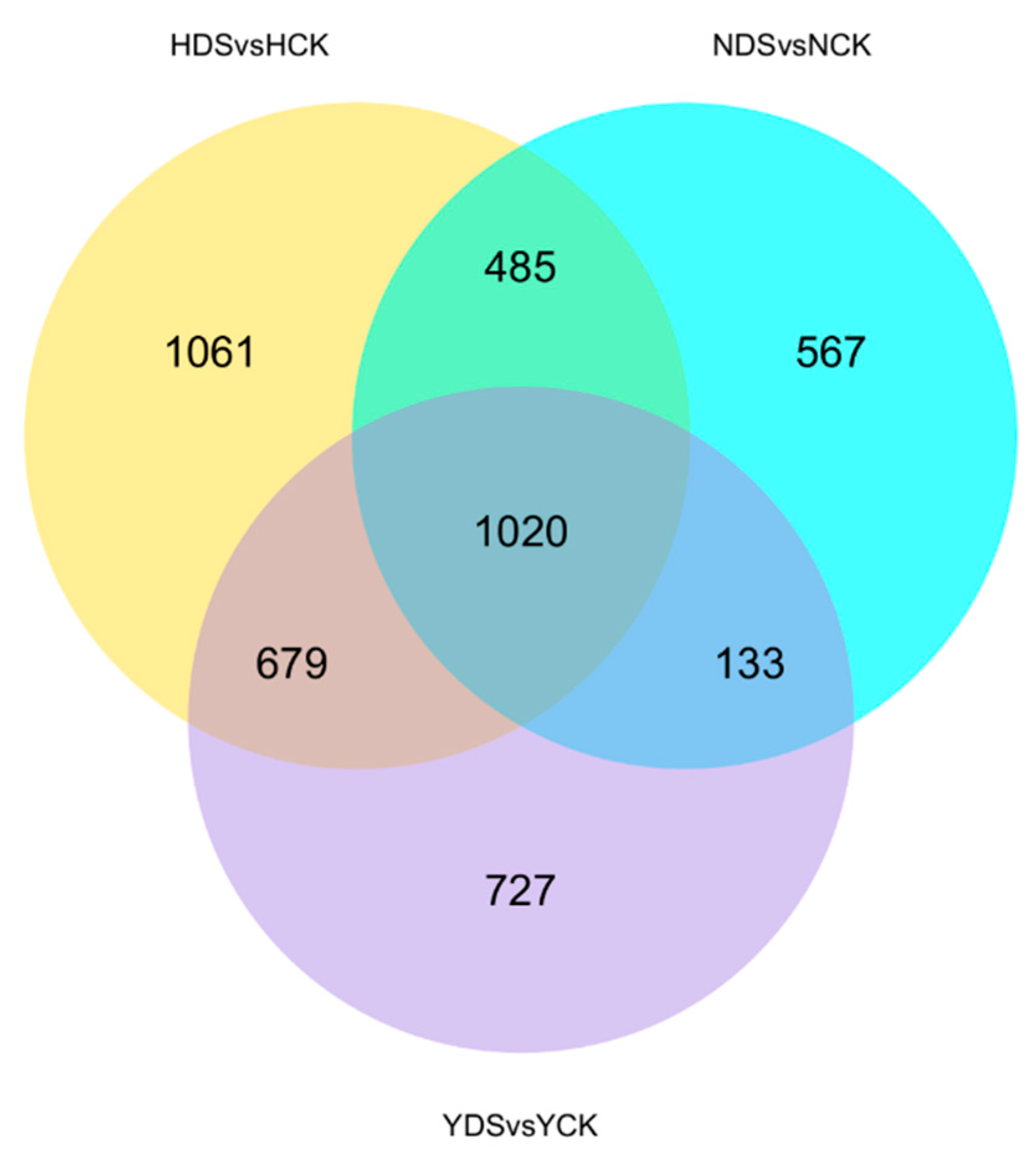 Genes 10 01041 g008 Genes 10 01041 g008