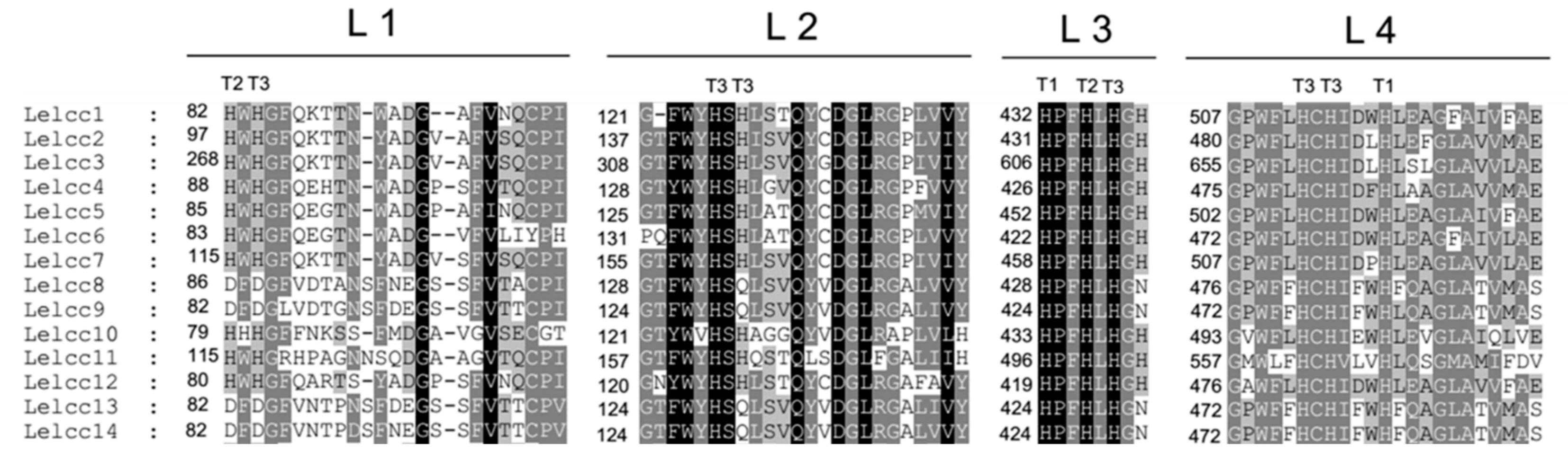 Genes 10 01045 g002 Genes 10 01045 g002
