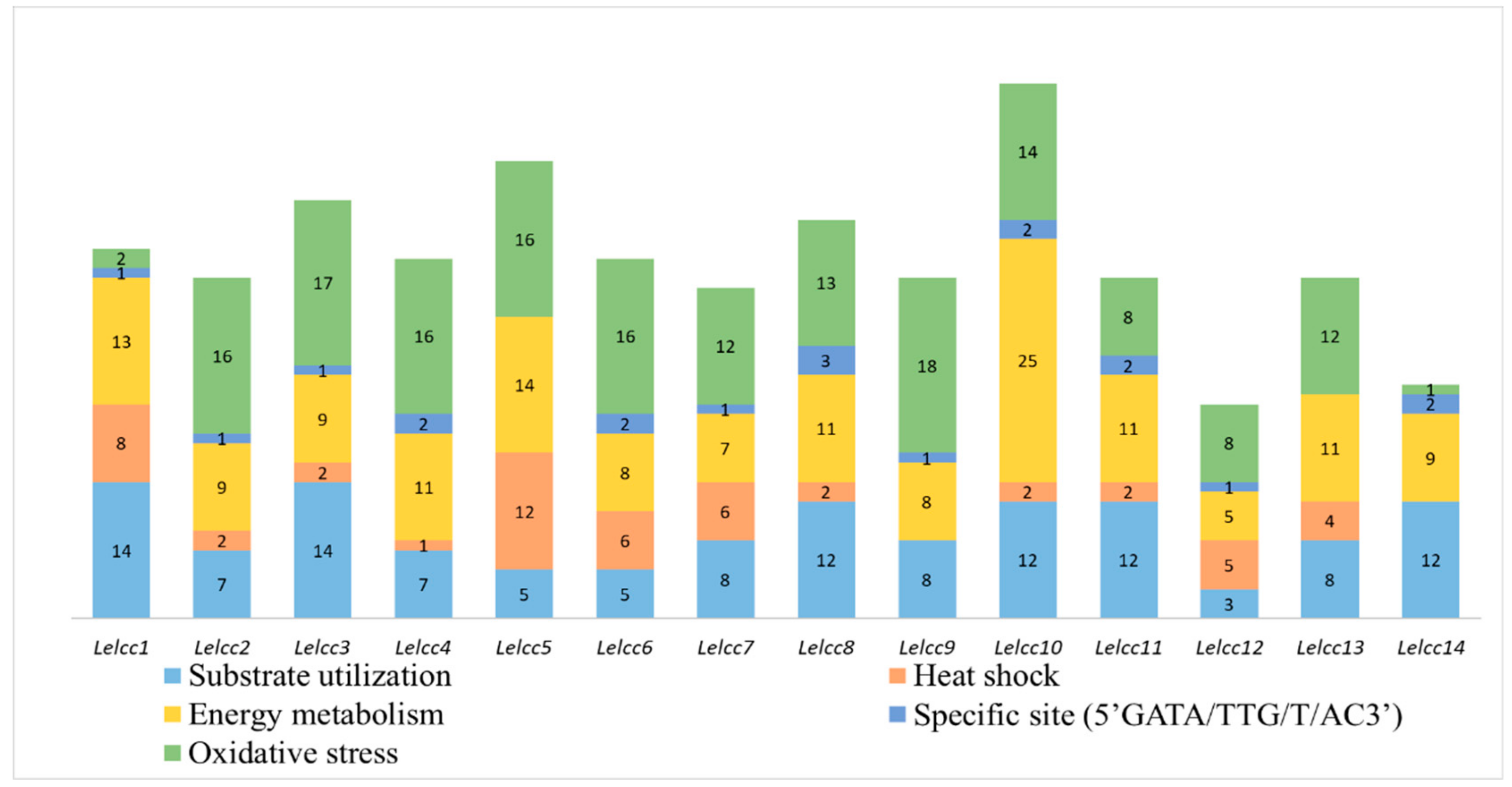 Genes 10 01045 g003 Genes 10 01045 g003