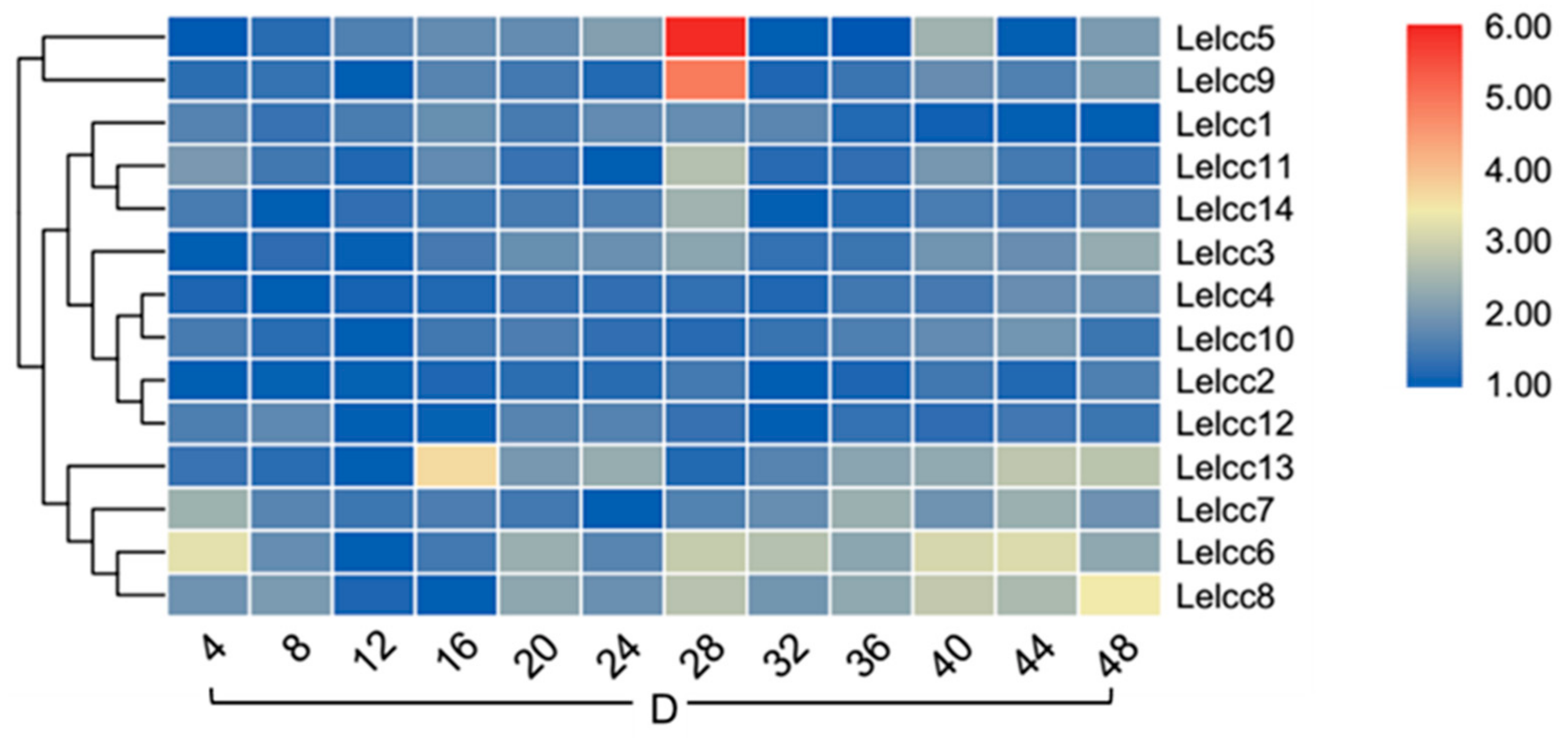 Genes 10 01045 g009 Genes 10 01045 g009