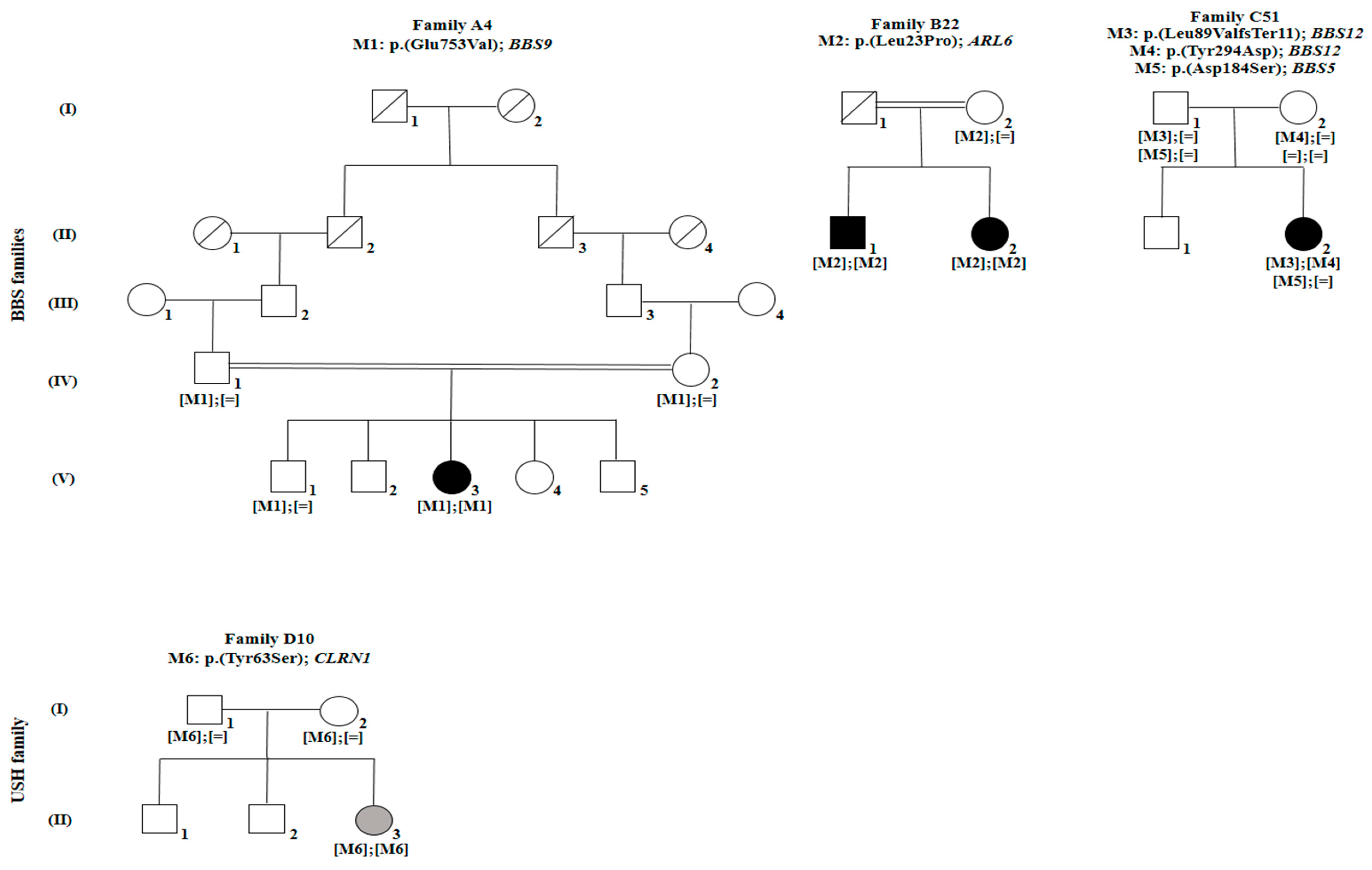 Genes 10 01047 g001 Genes 10 01047 g001