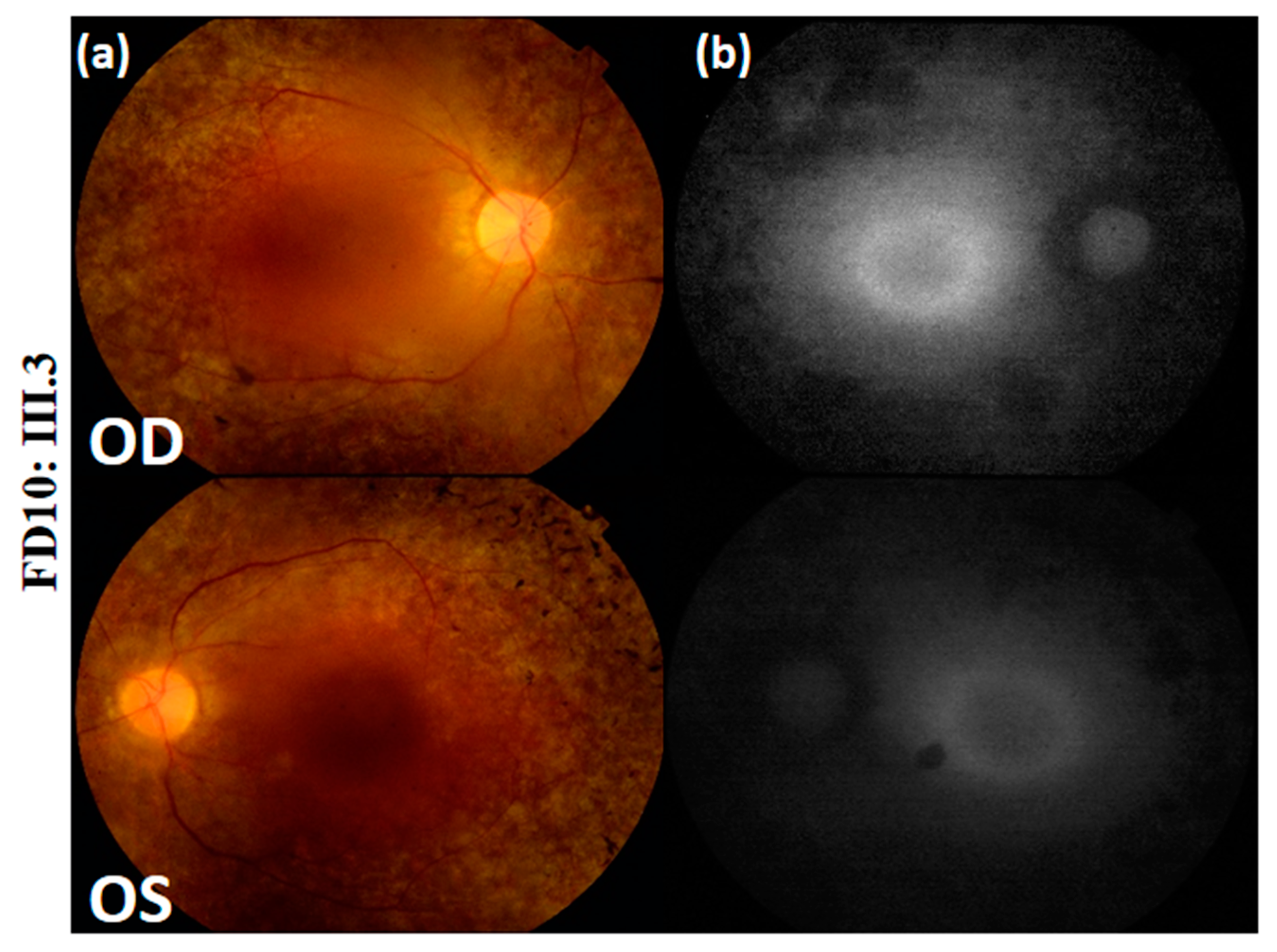 Genes 10 01047 g003 Genes 10 01047 g003