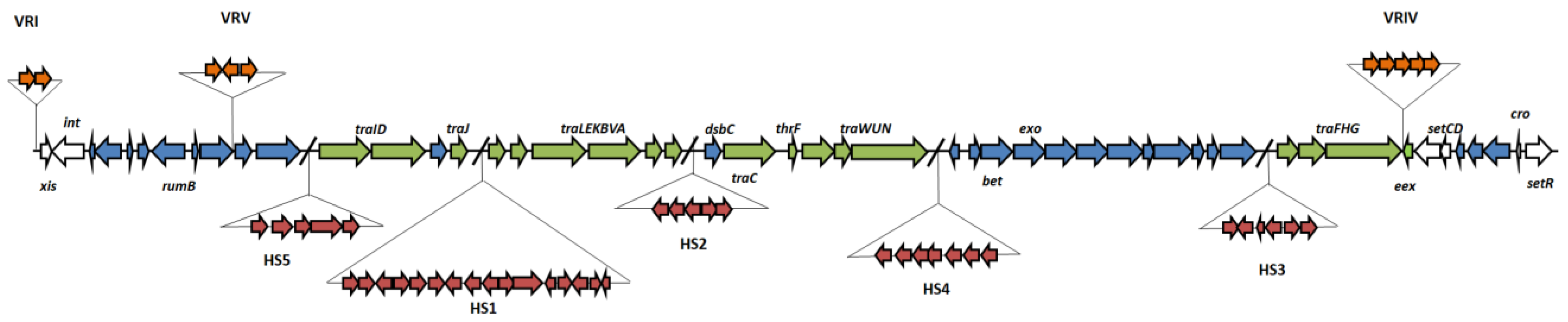 Genes 10 01048 g001 Genes 10 01048 g001