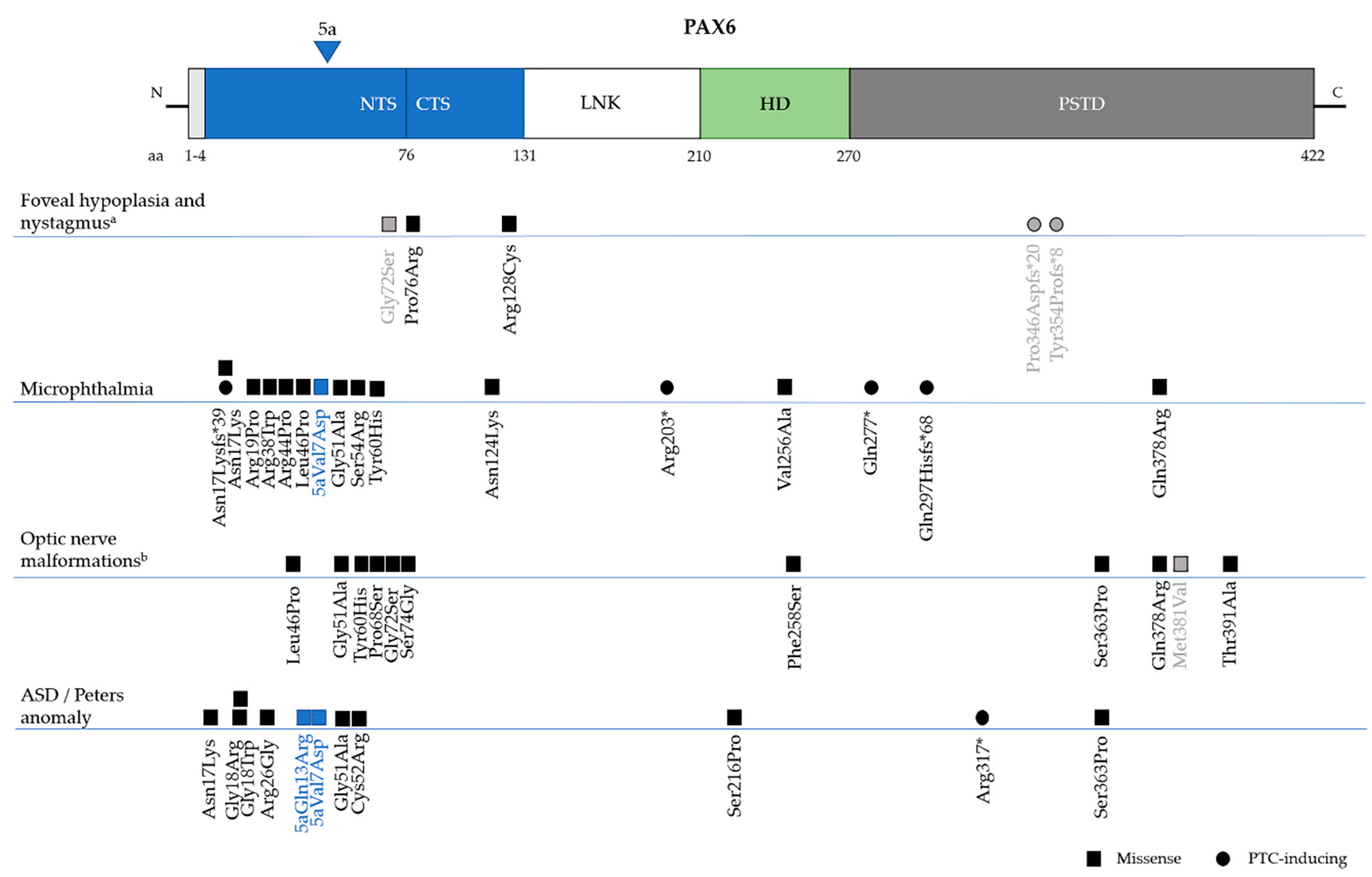 Genes 10 01050 g005