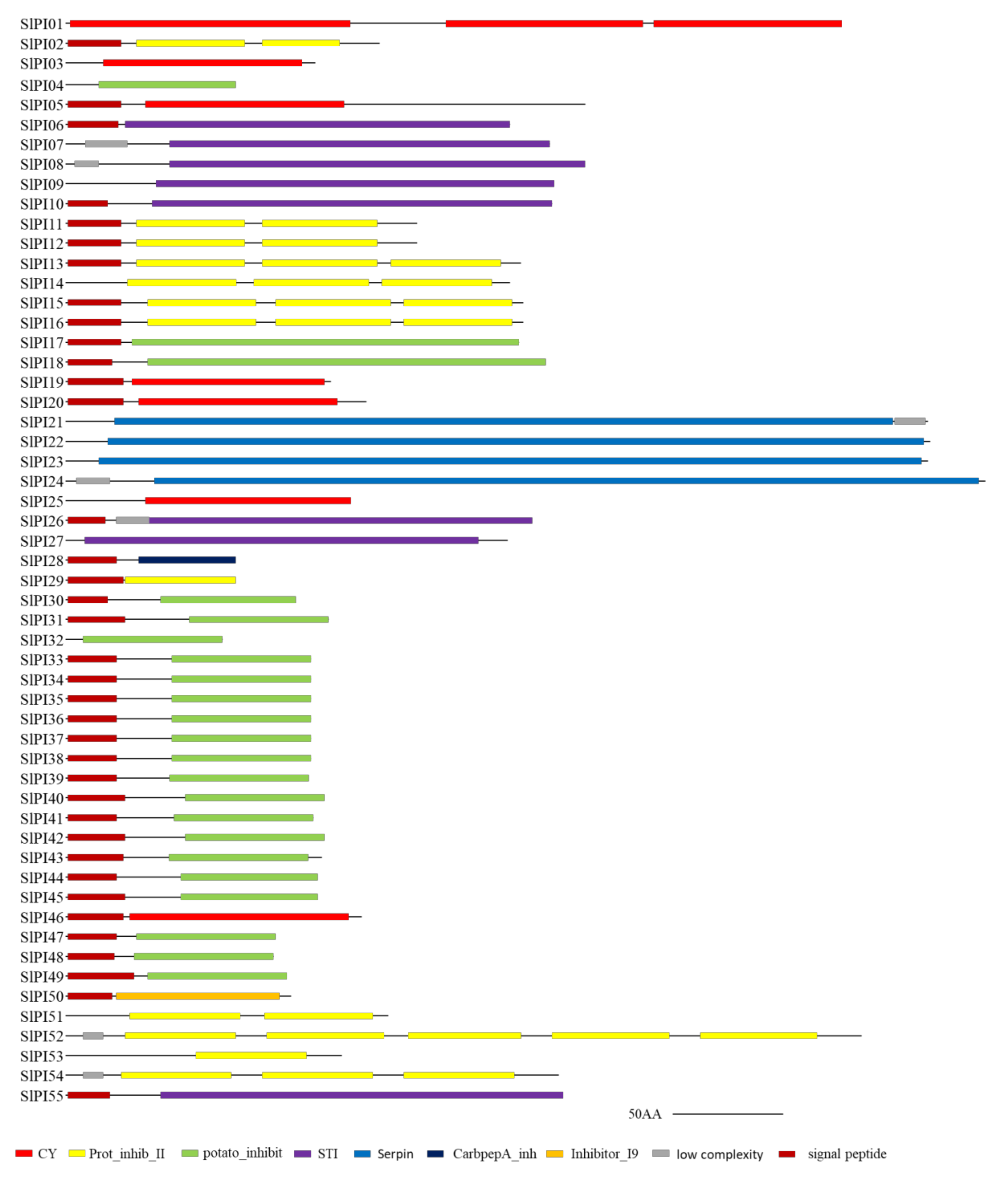 Genes 11 00001 g001 Genes 11 00001 g001