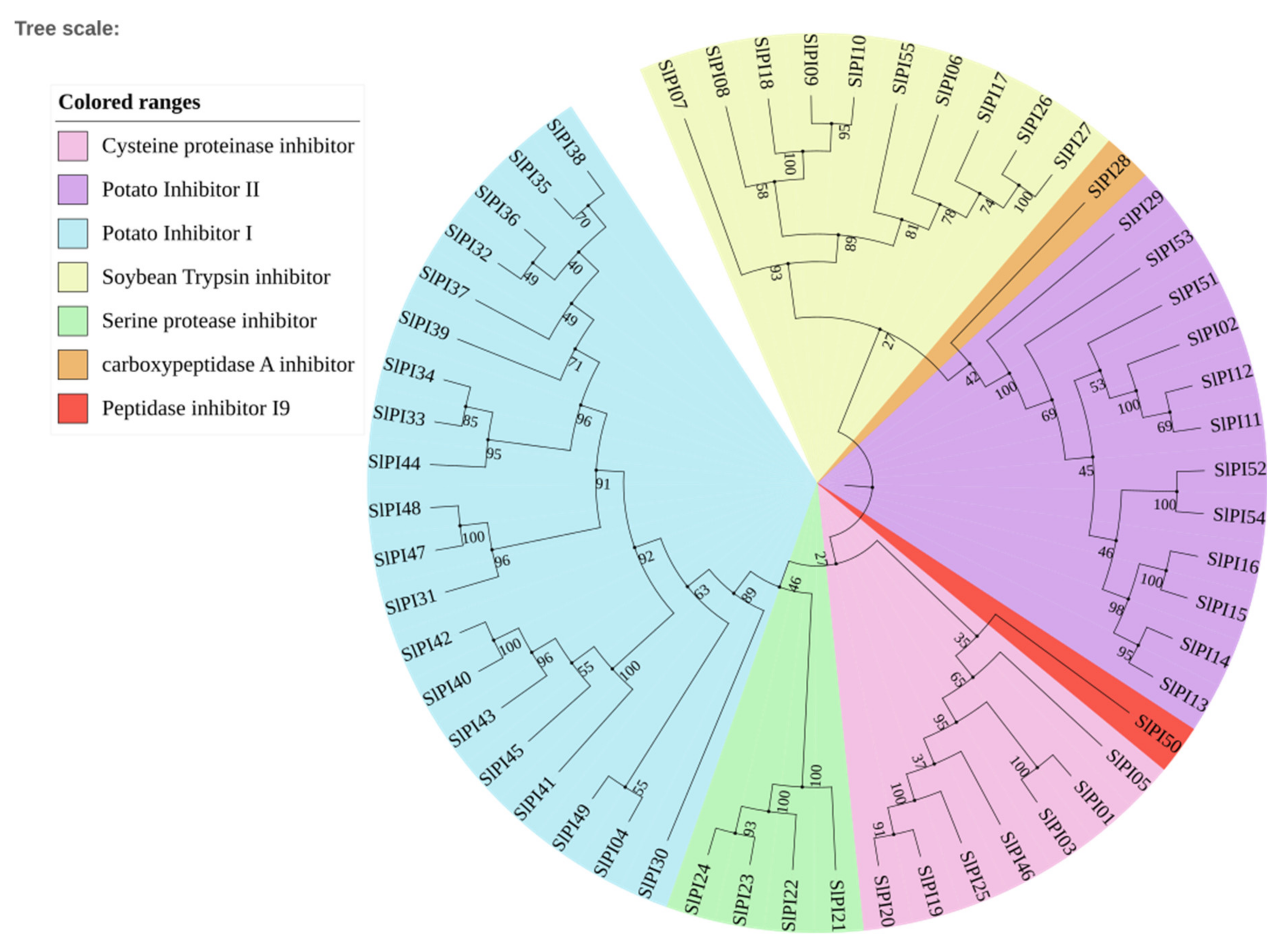 Genes 11 00001 g002 Genes 11 00001 g002