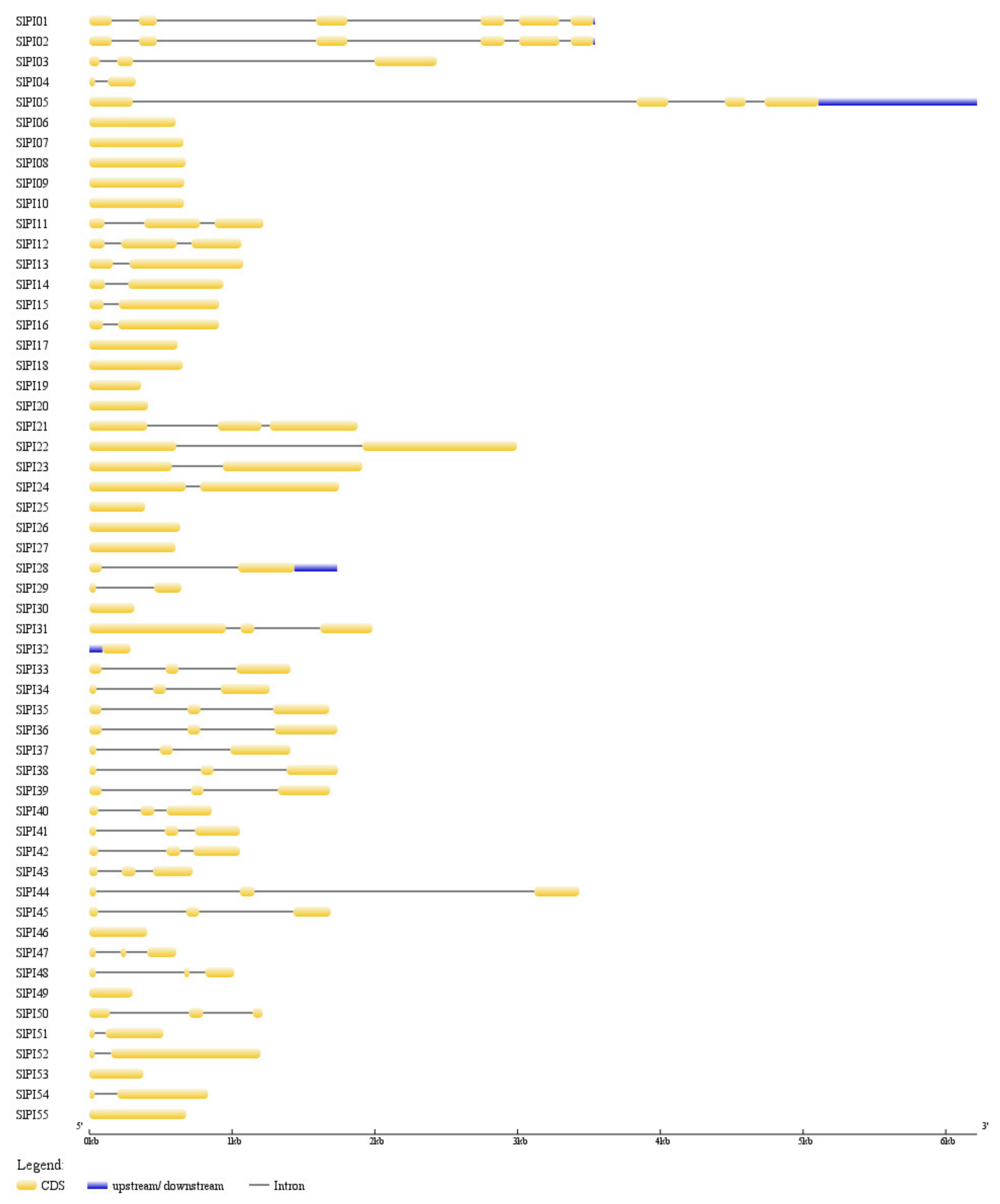 Genes 11 00001 g004 Genes 11 00001 g004