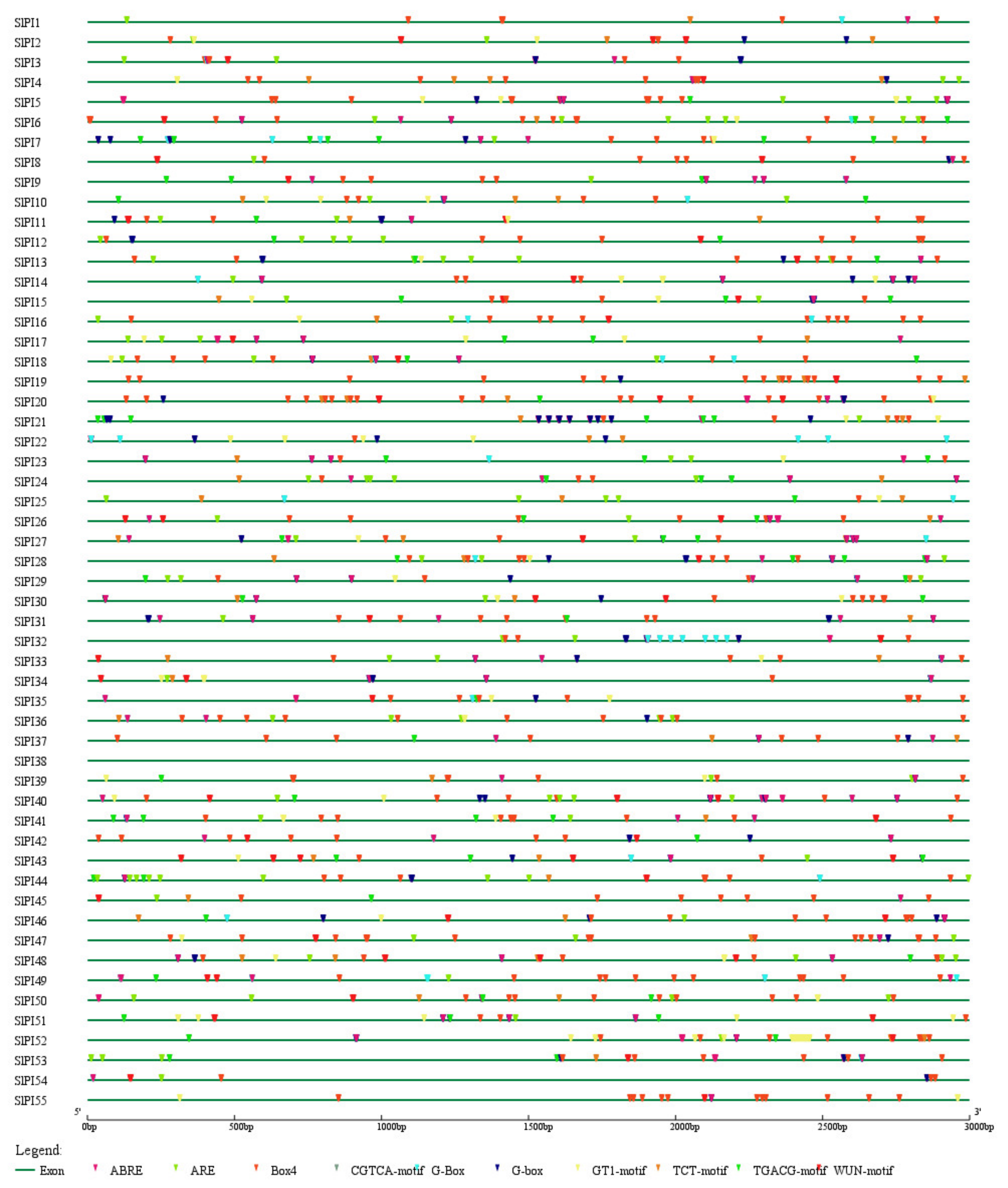 Genes 11 00001 g005 Genes 11 00001 g005