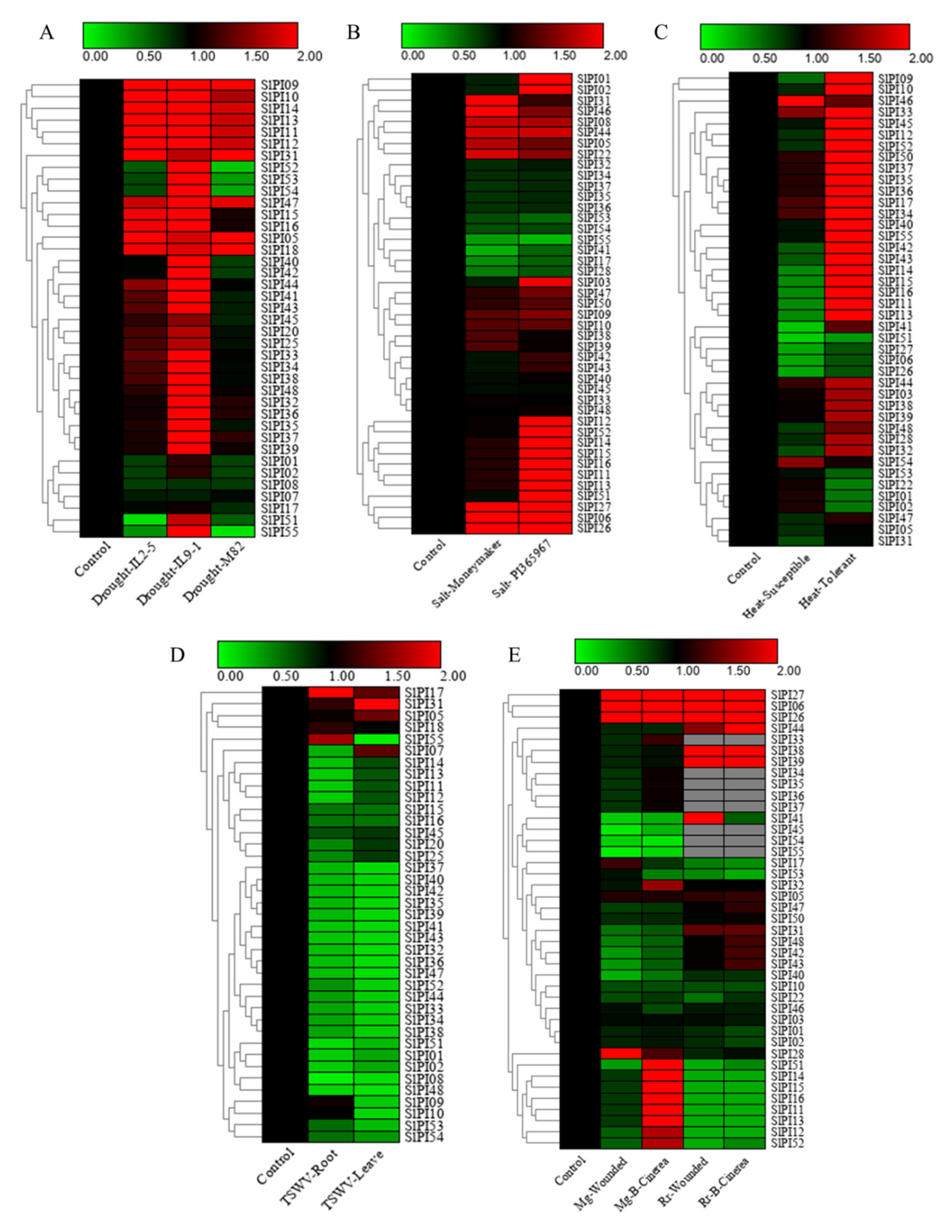 Genes 11 00001 g006 Genes 11 00001 g006
