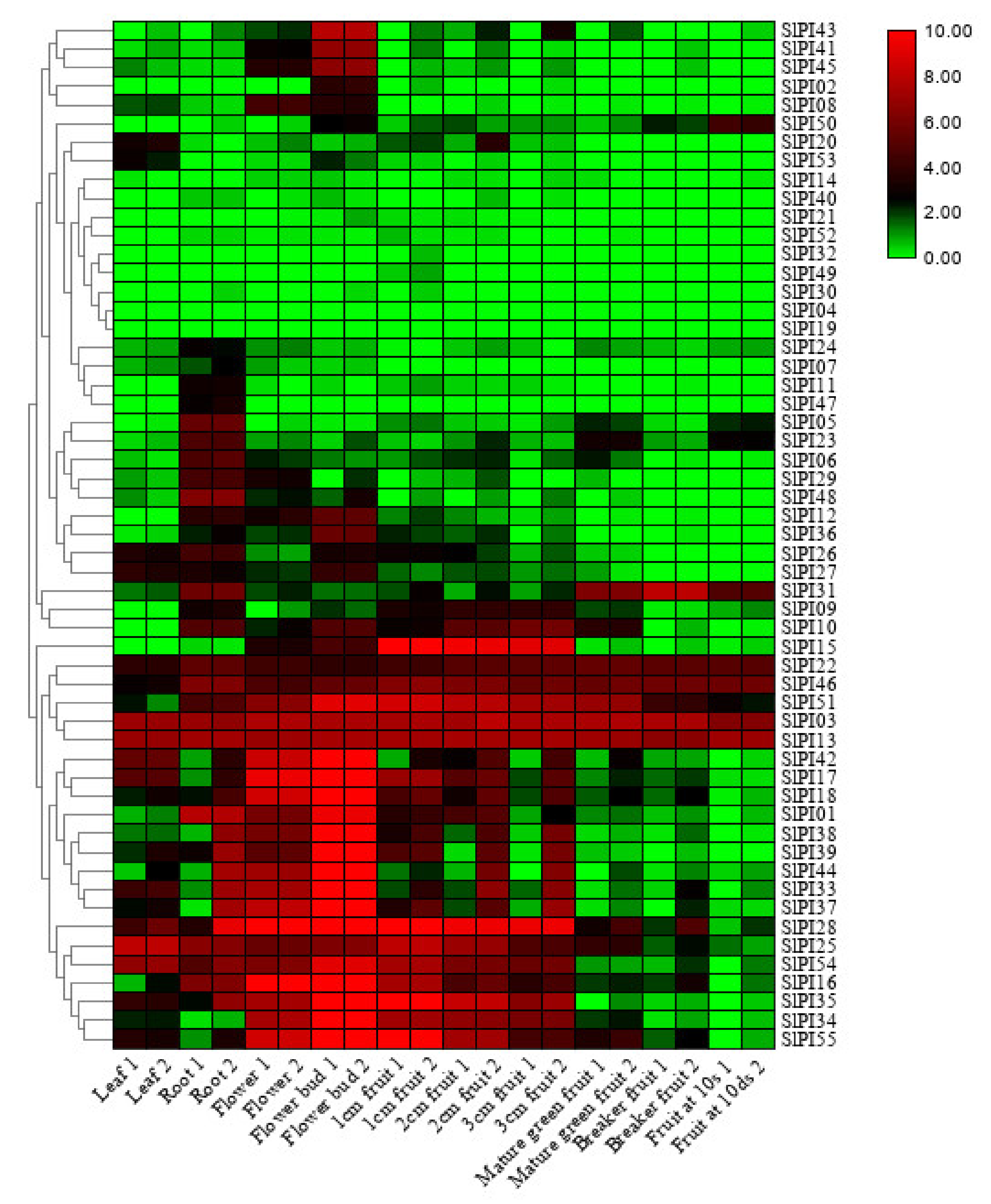 Genes 11 00001 g007 Genes 11 00001 g007