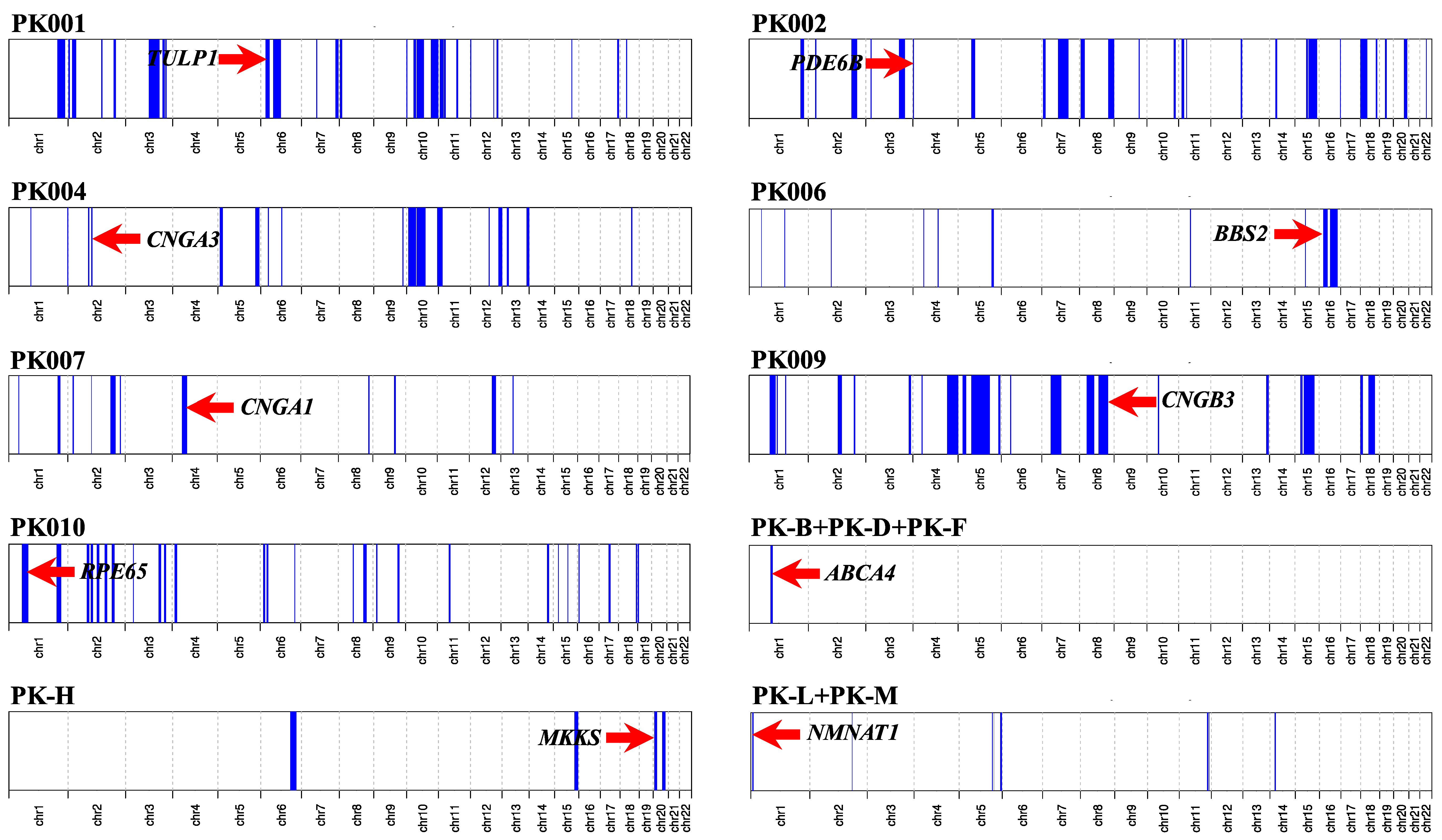 Genes Free Full Text Exploring The Genetic Landscape Of Retinal Diseases In North Western Pakistan Reveals A High Degree Of Autozygosity And A Prevalent Founder Mutation In Abca4 Html