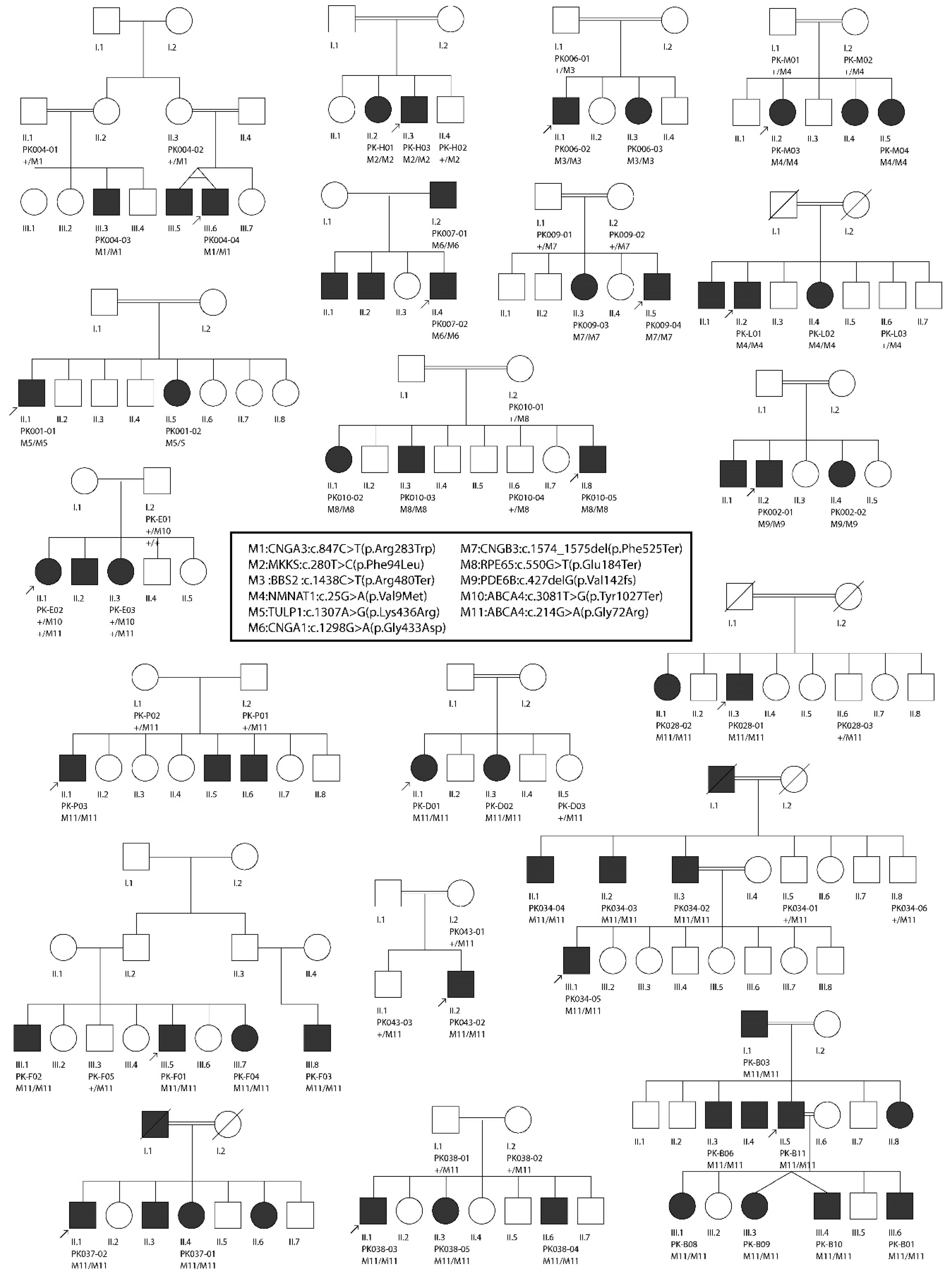 Genes 11 00012 g002 Genes 11 00012 g002