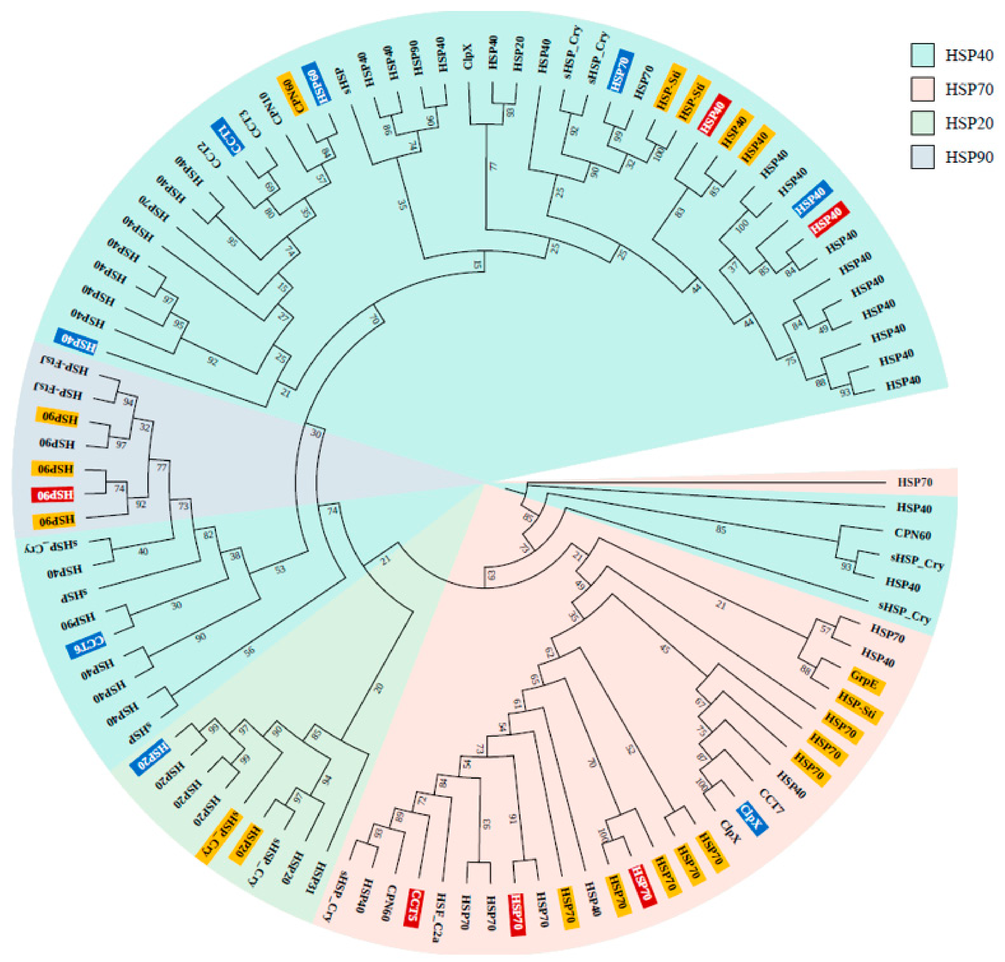 Genes 11 00022 g003 Genes 11 00022 g003
