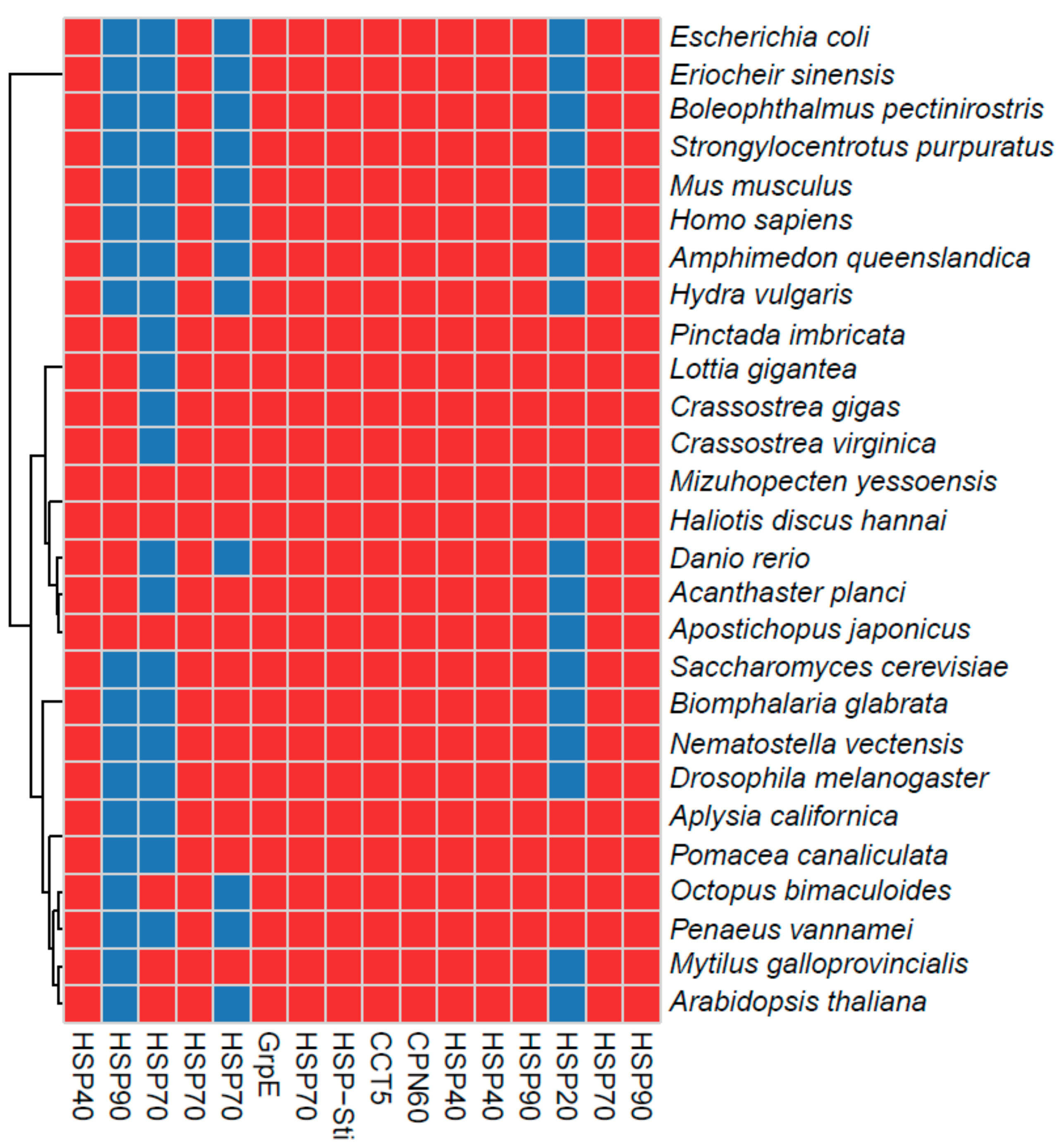 Genes 11 00022 g004 Genes 11 00022 g004