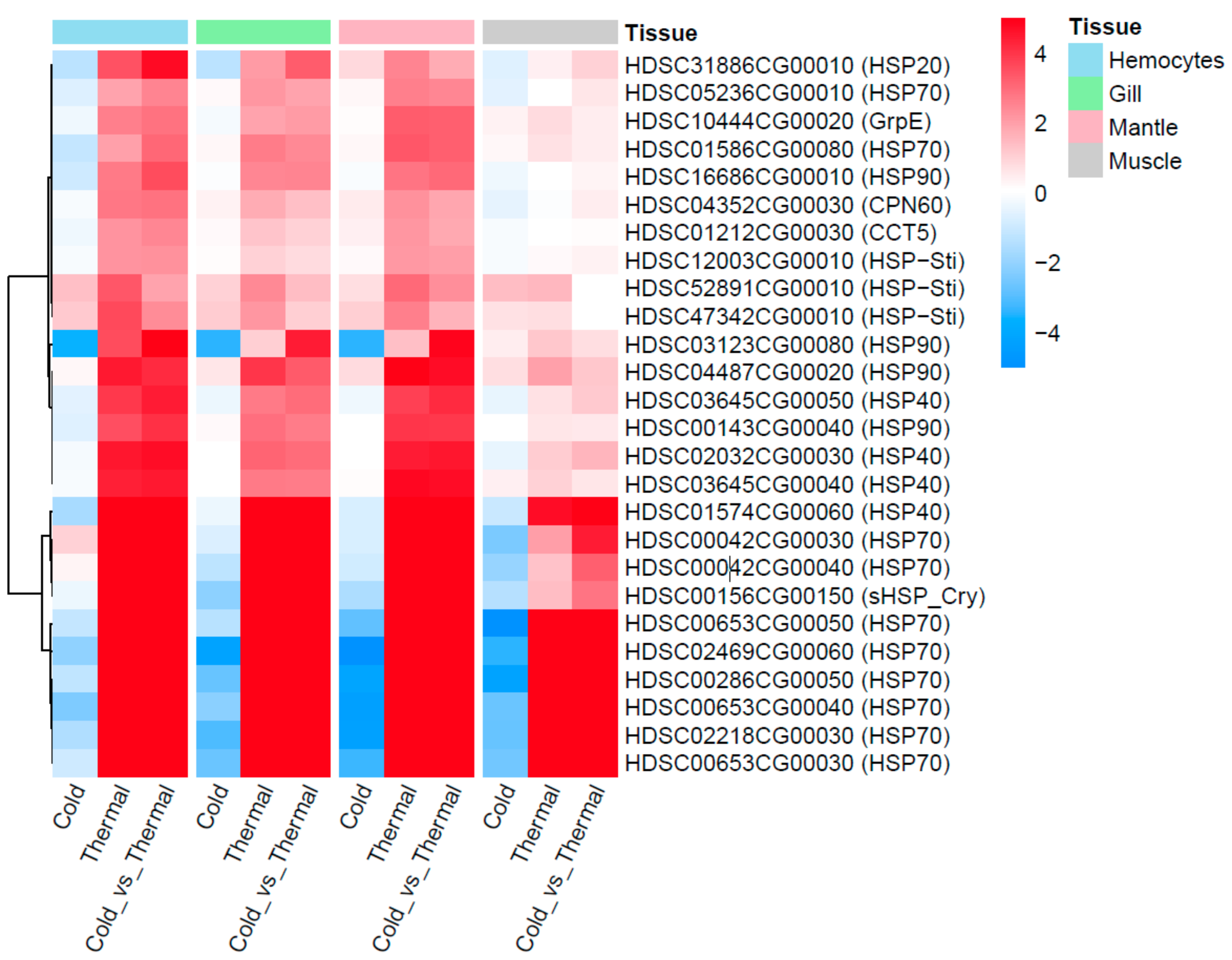 Genes 11 00022 g005 Genes 11 00022 g005