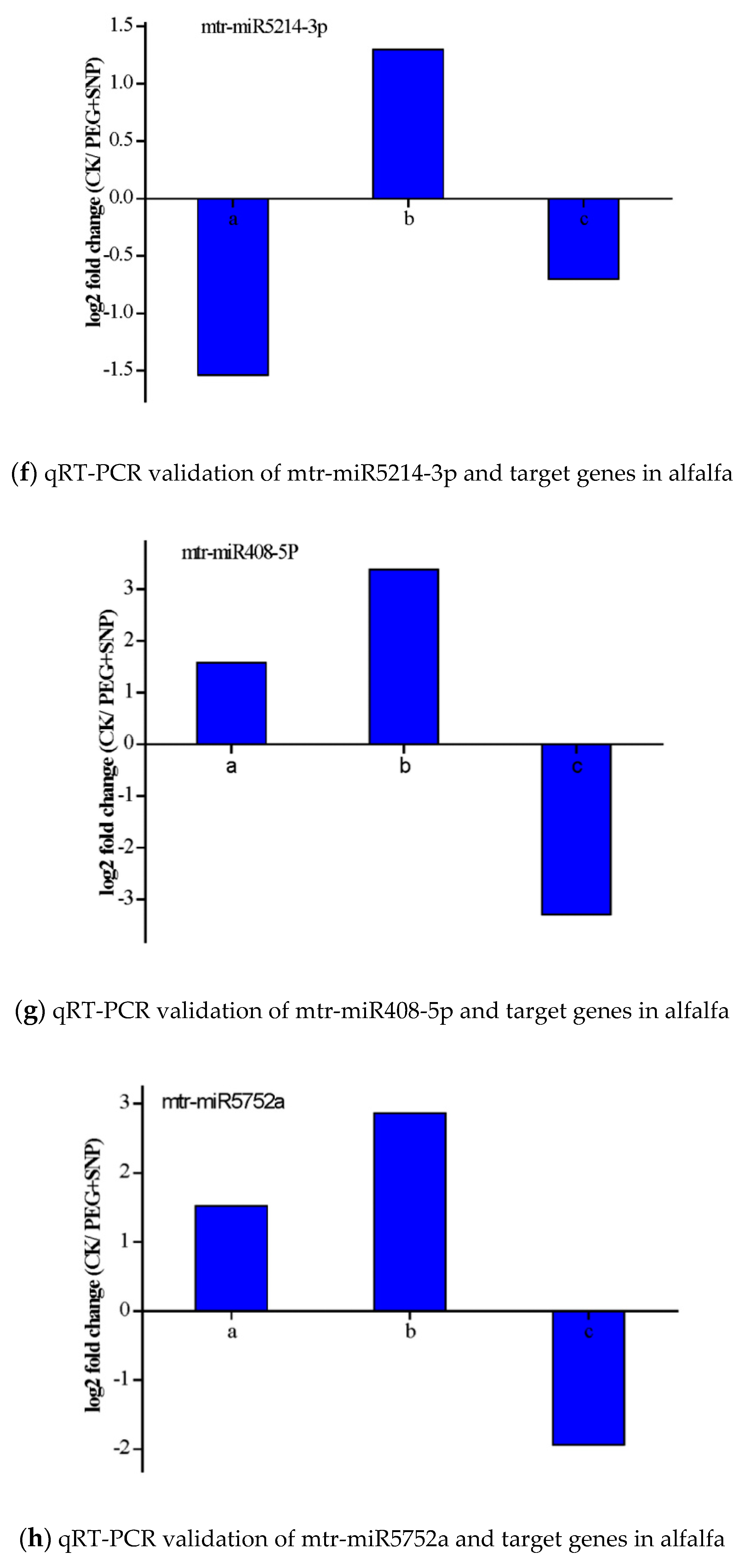 Genes 11 00030 g006c Genes 11 00030 g006c