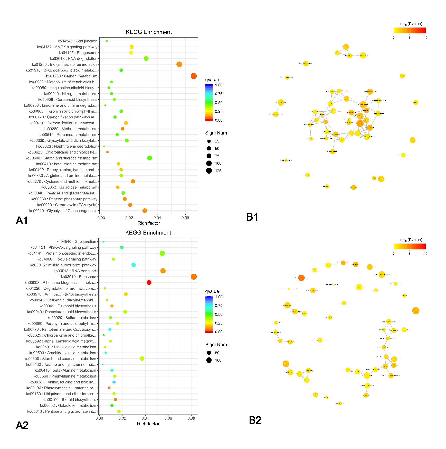 Genes 11 00031 g004 Genes 11 00031 g004