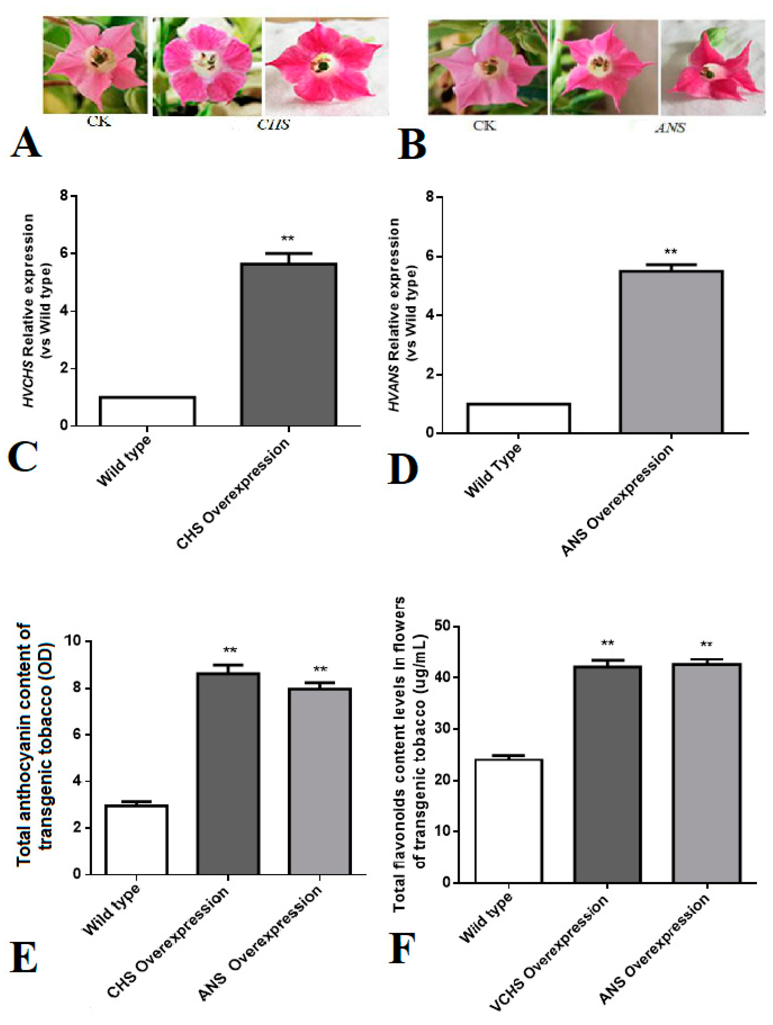 Genes 11 00031 g006 Genes 11 00031 g006